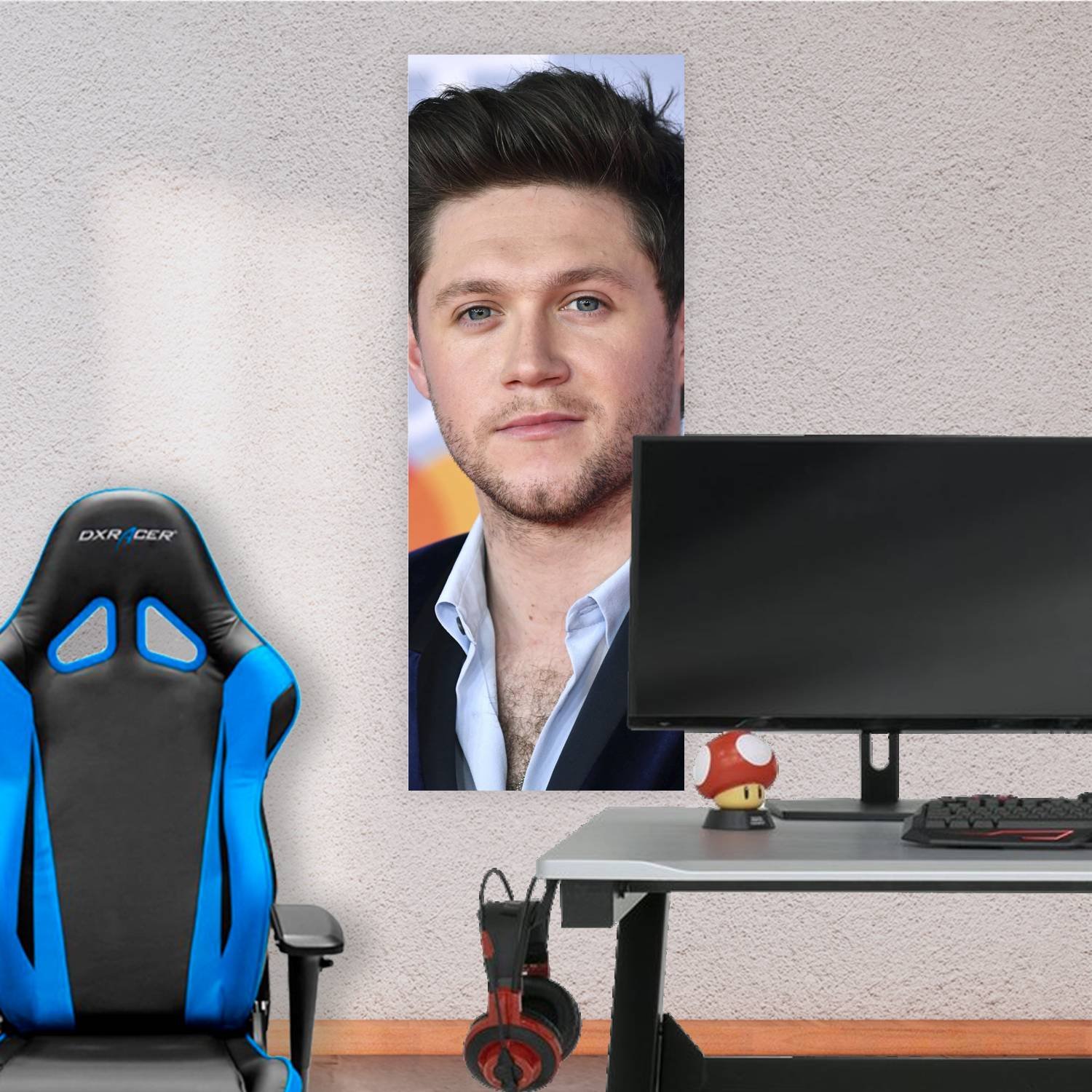 Cuadro grande 30x80cm niall horan plano cara Musica