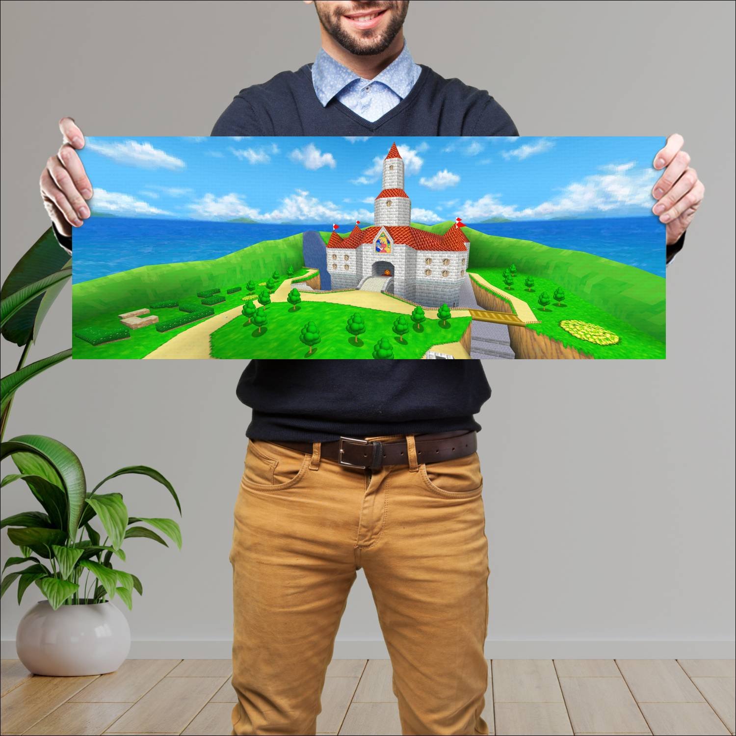 Cuadro grande 30x80cm mario 64 Gamer