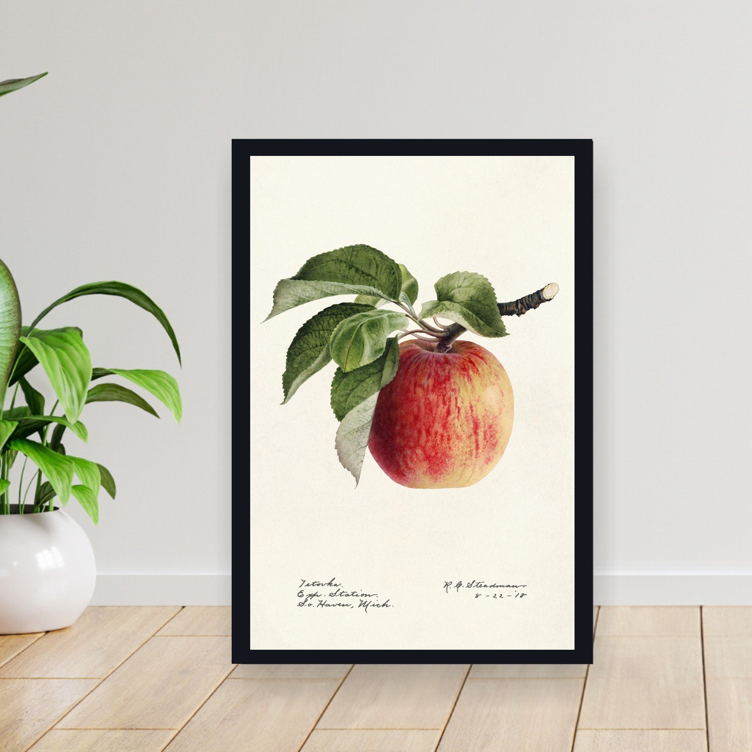 Cuadro 30x40cm Arte Cocina Vertical - Arte Cocina Vertical XAC-112