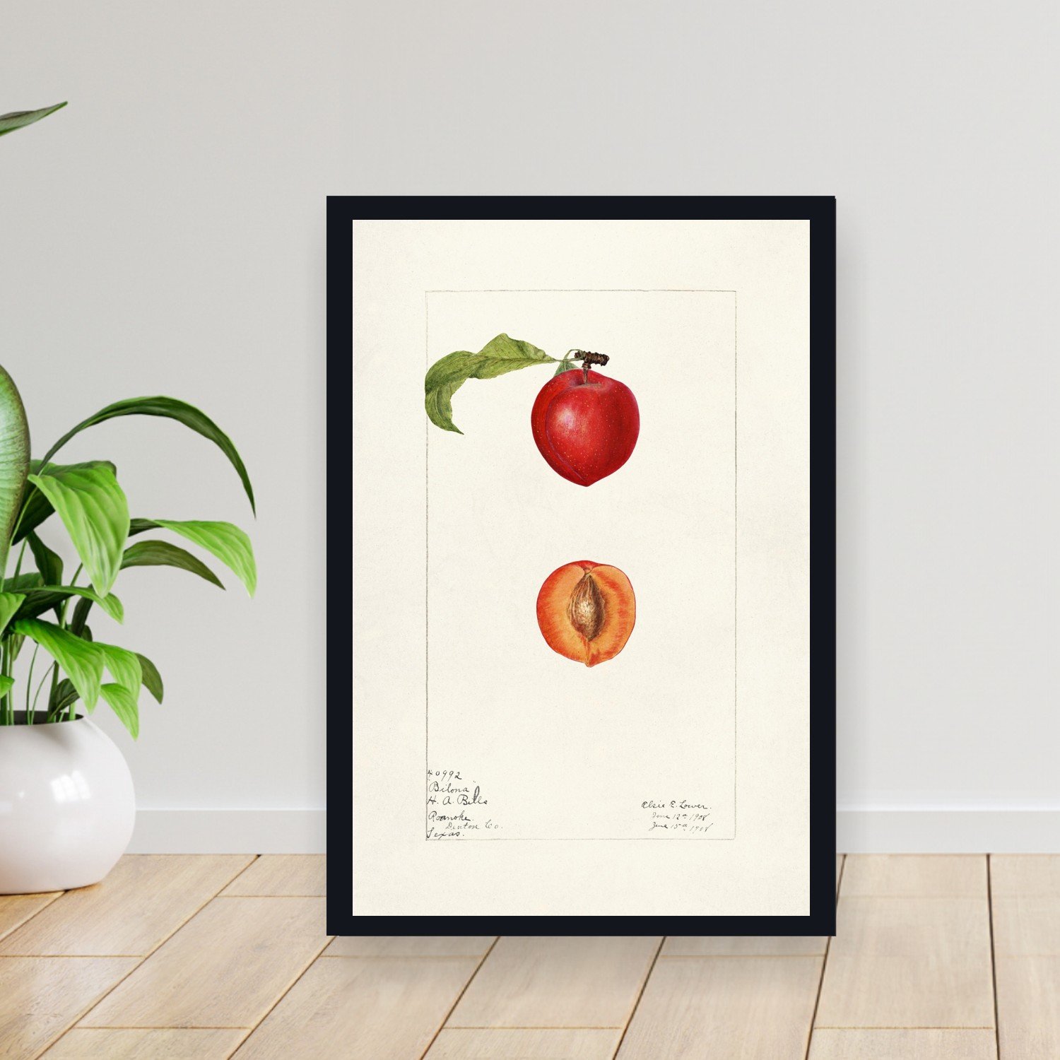 Cuadro 30x40cm Arte Cocina Vertical - Arte Cocina Vertical XAC-120