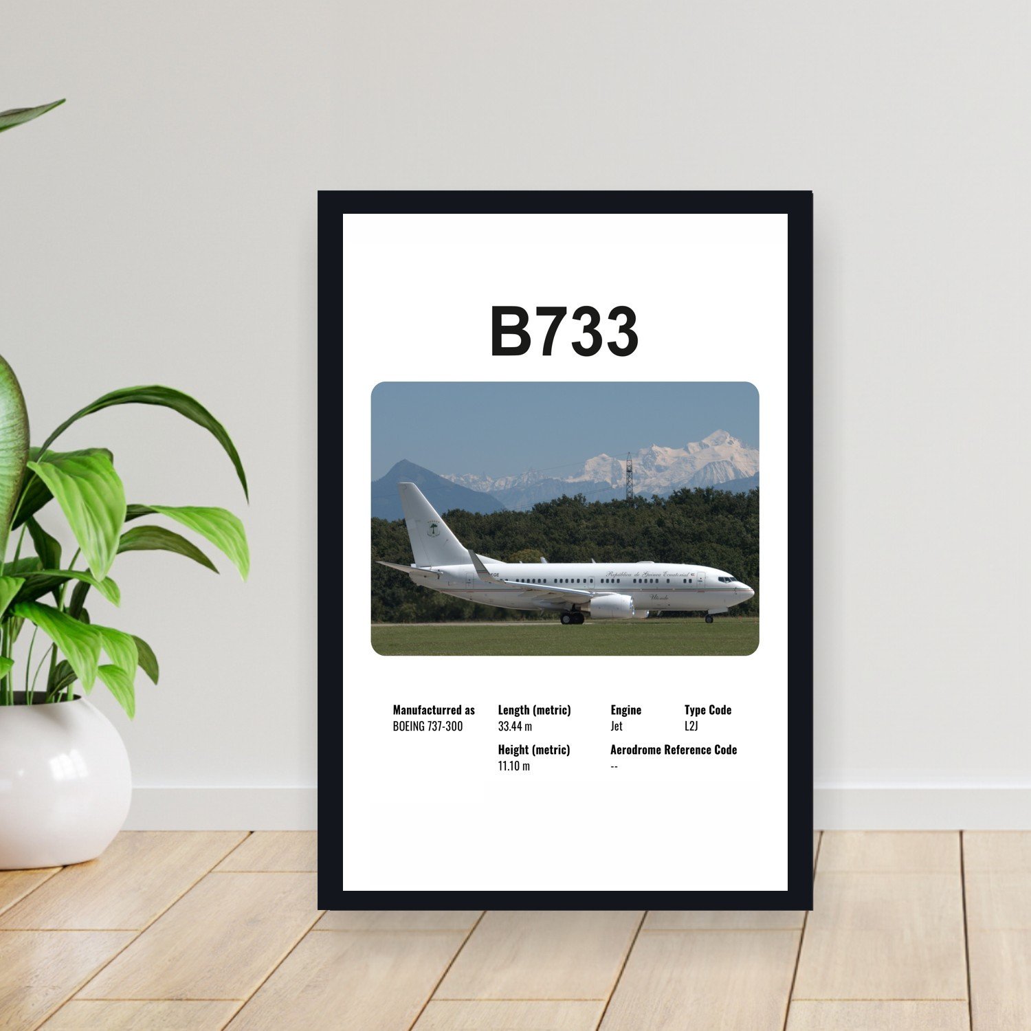 Cuadro 30x40cm Avion - BOEING B733