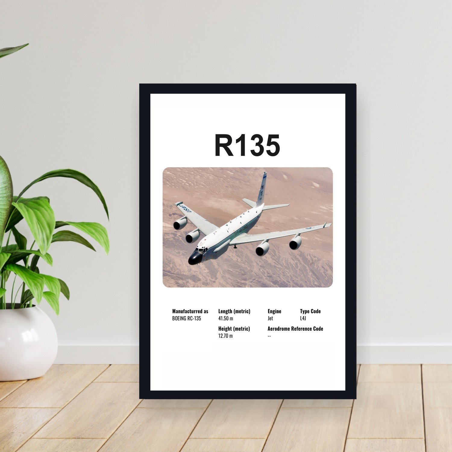 Cuadro 30x40cm Avion - BOEING R135