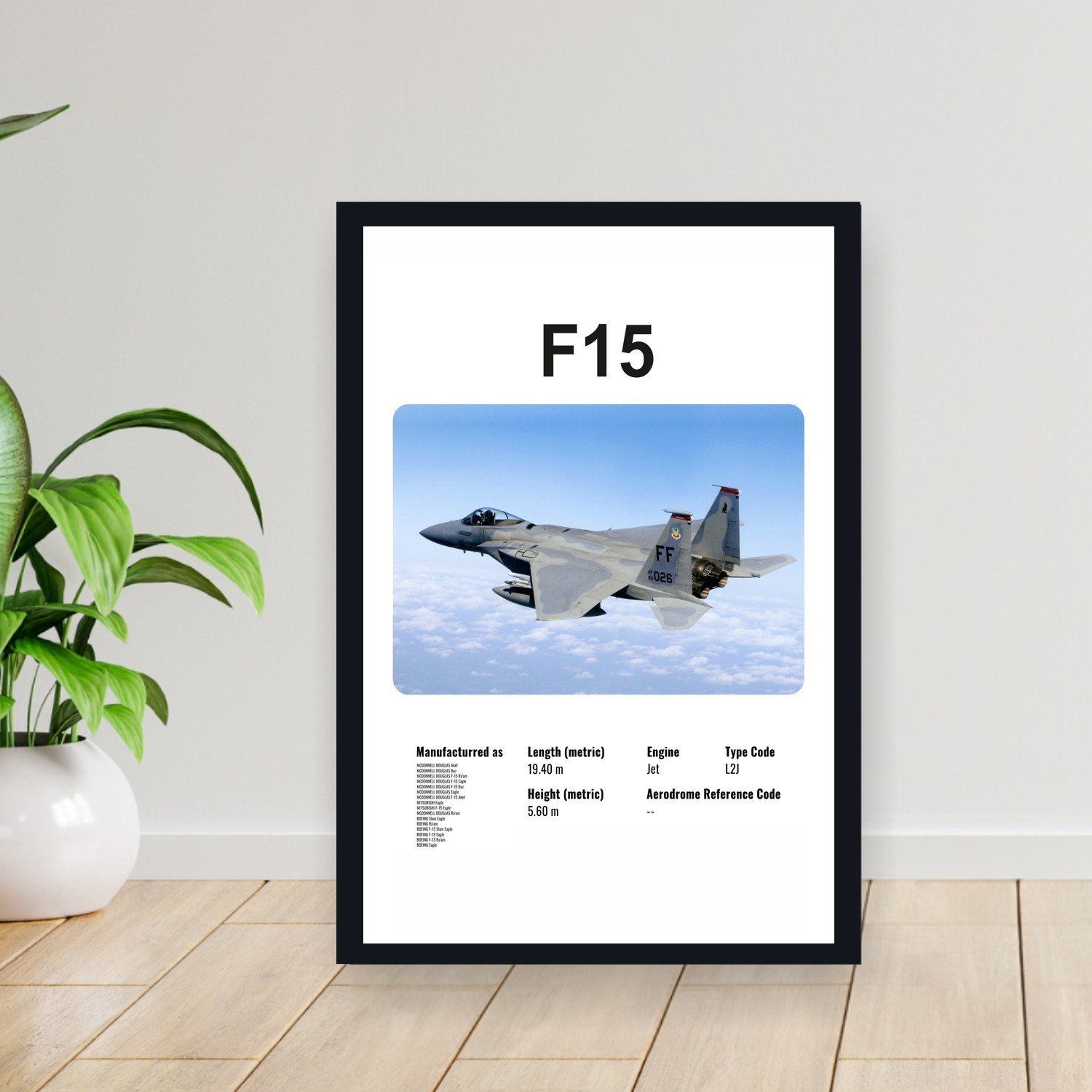 Cuadro 30x40cm Avion - BOEING F15