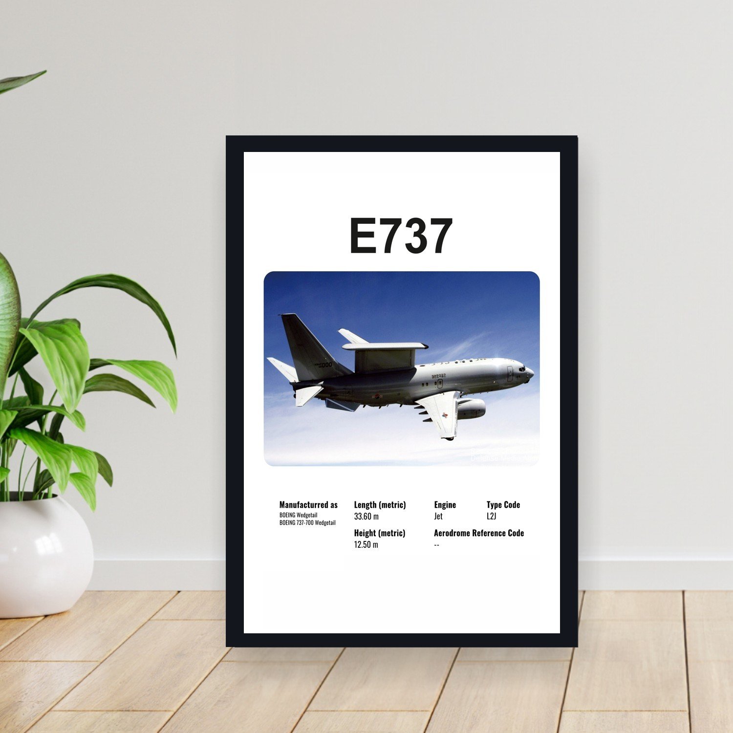 Cuadro 30x40cm Avion - BOEING E737