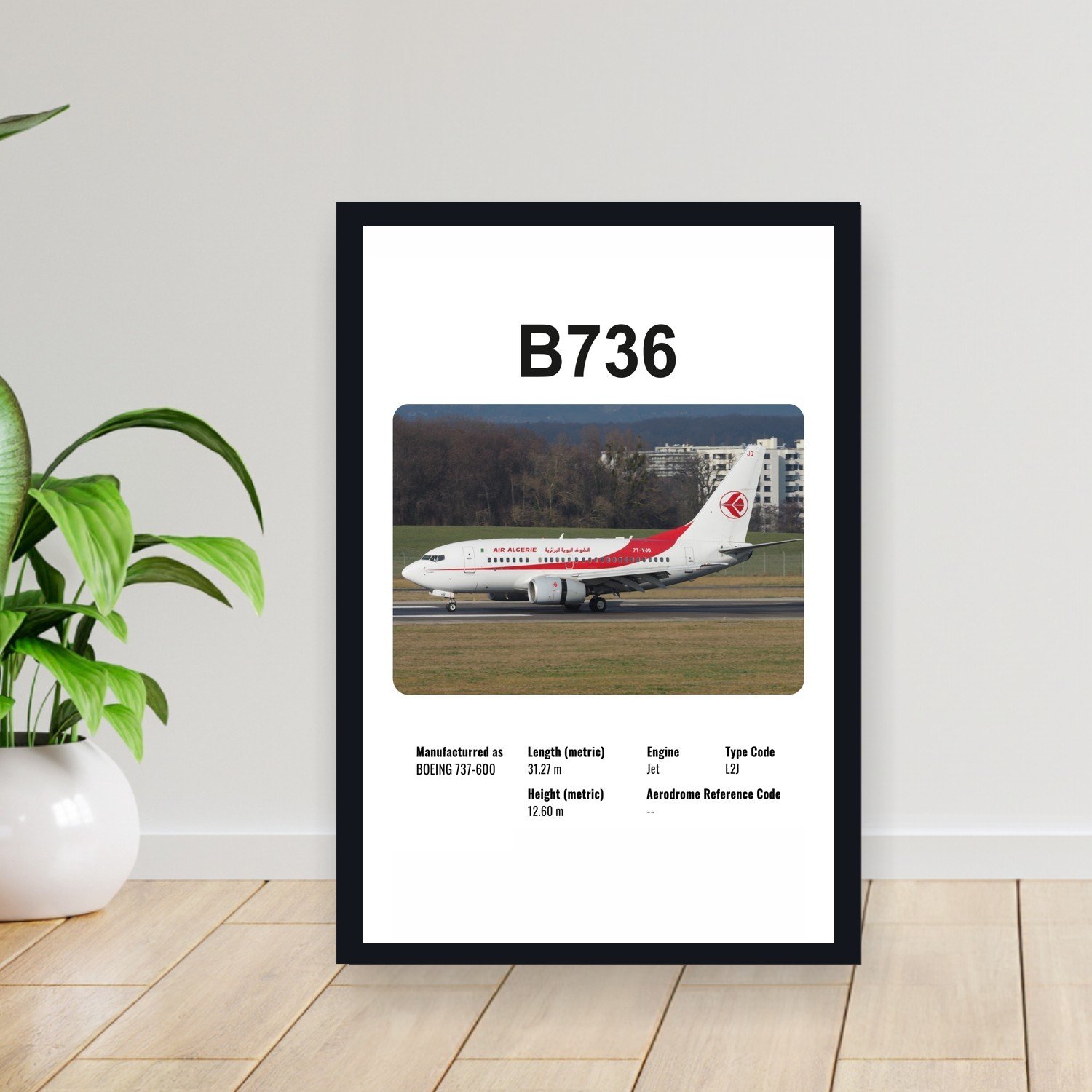 Cuadro 30x40cm Avion - BOEING B736