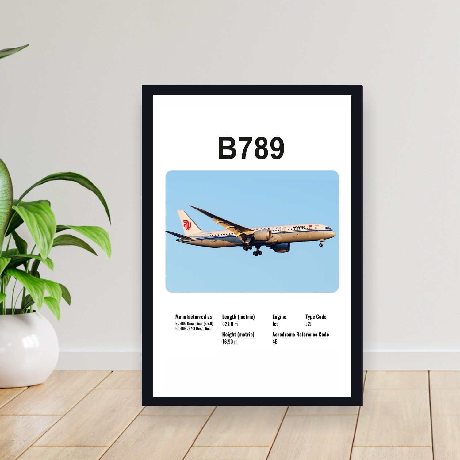 Cuadro 30x40cm Avion - BOEING B789
