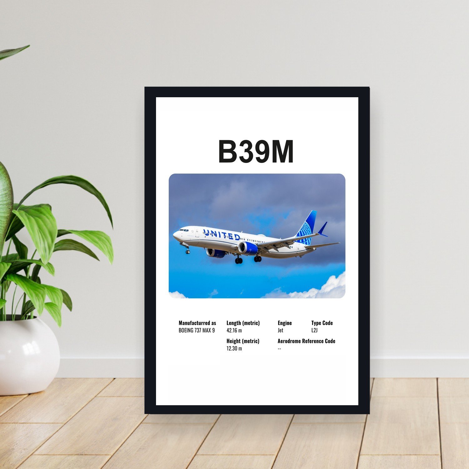 Cuadro 30x40cm Avion - BOEING B39M