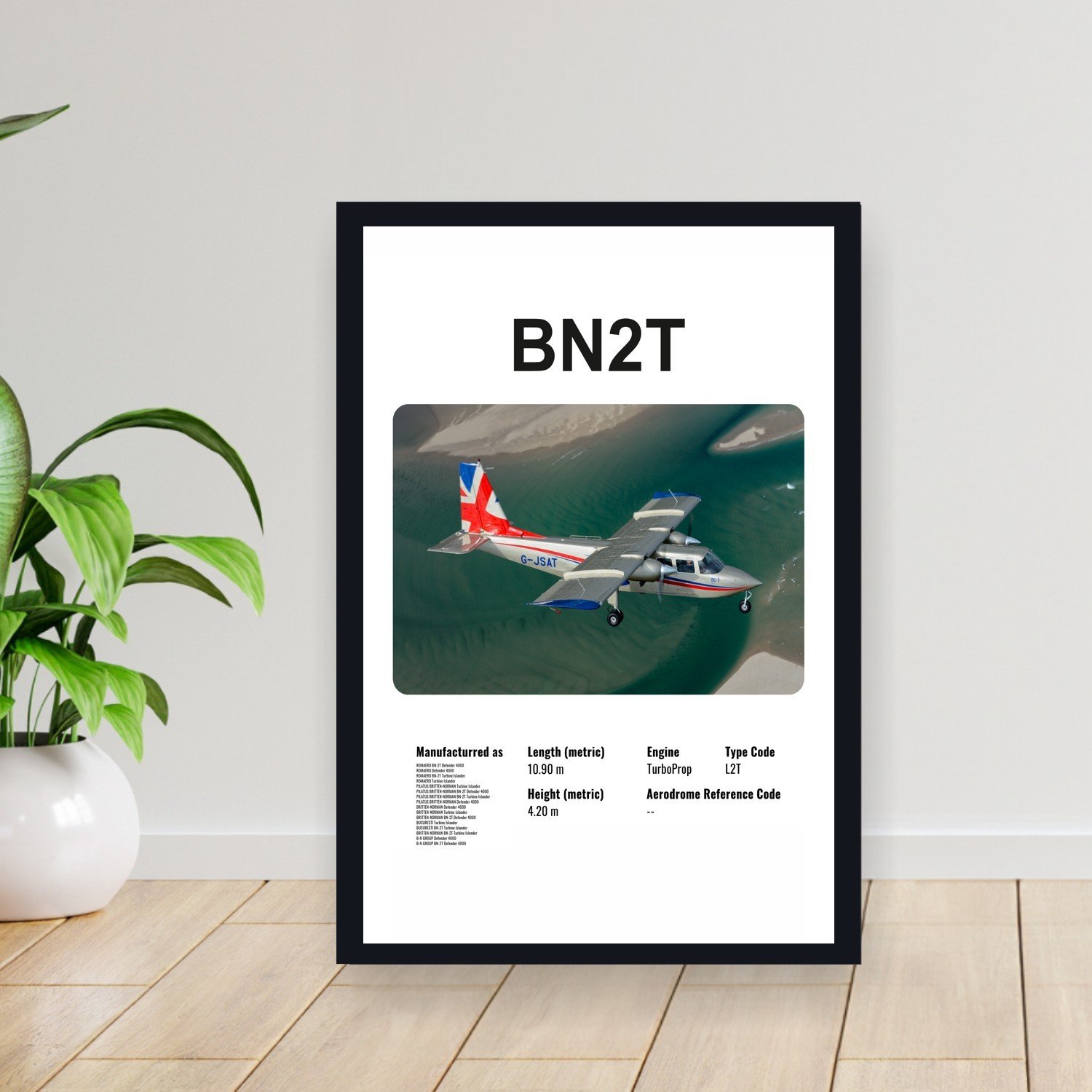 Cuadro 30x40cm Avion - BRITTEN NORMAN BN2T