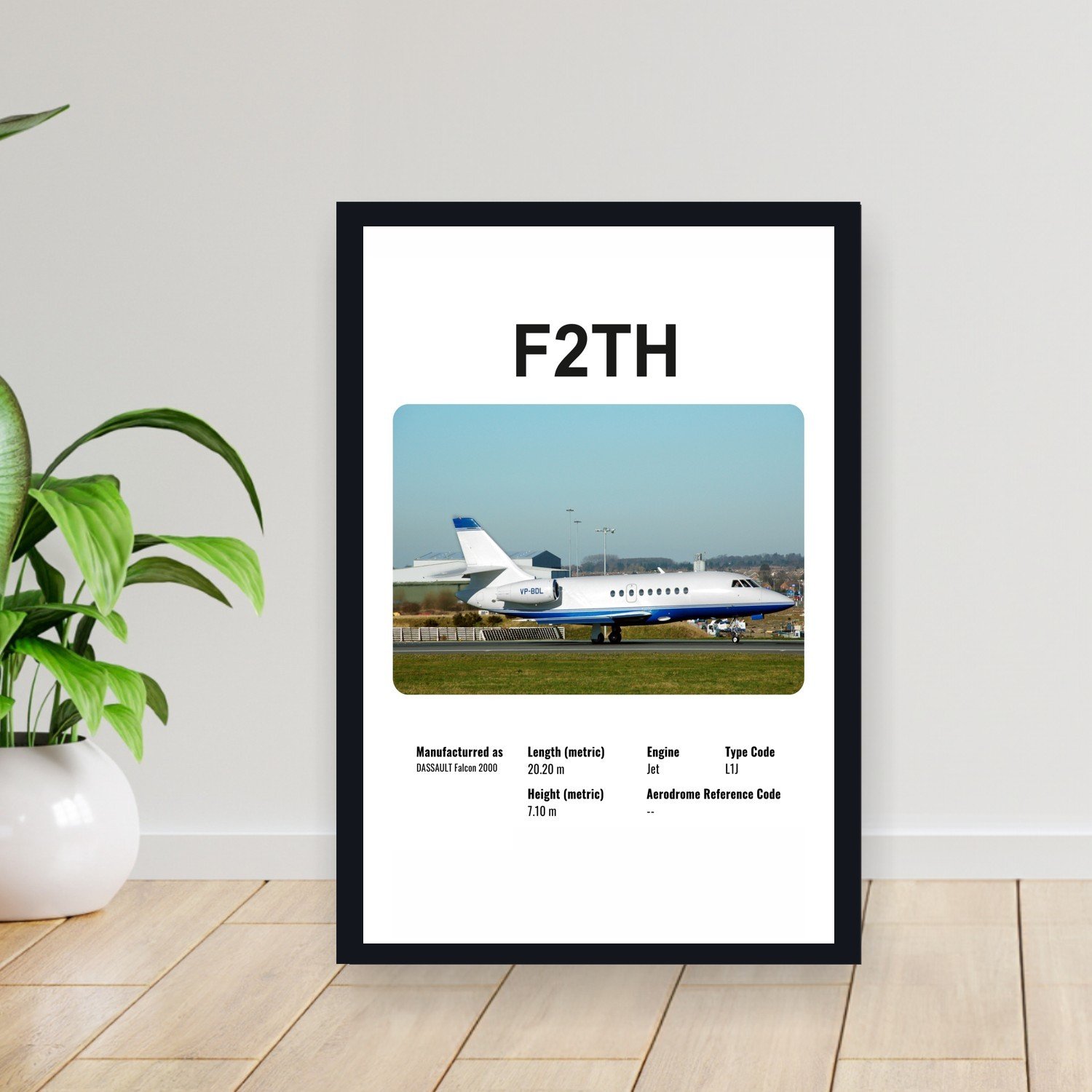 Cuadro 30x40cm Avion - DASSAULT F2TH