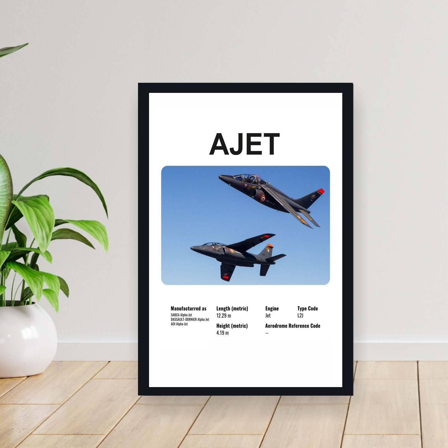 Cuadro 30x40cm Avion - DASSAULT AJET