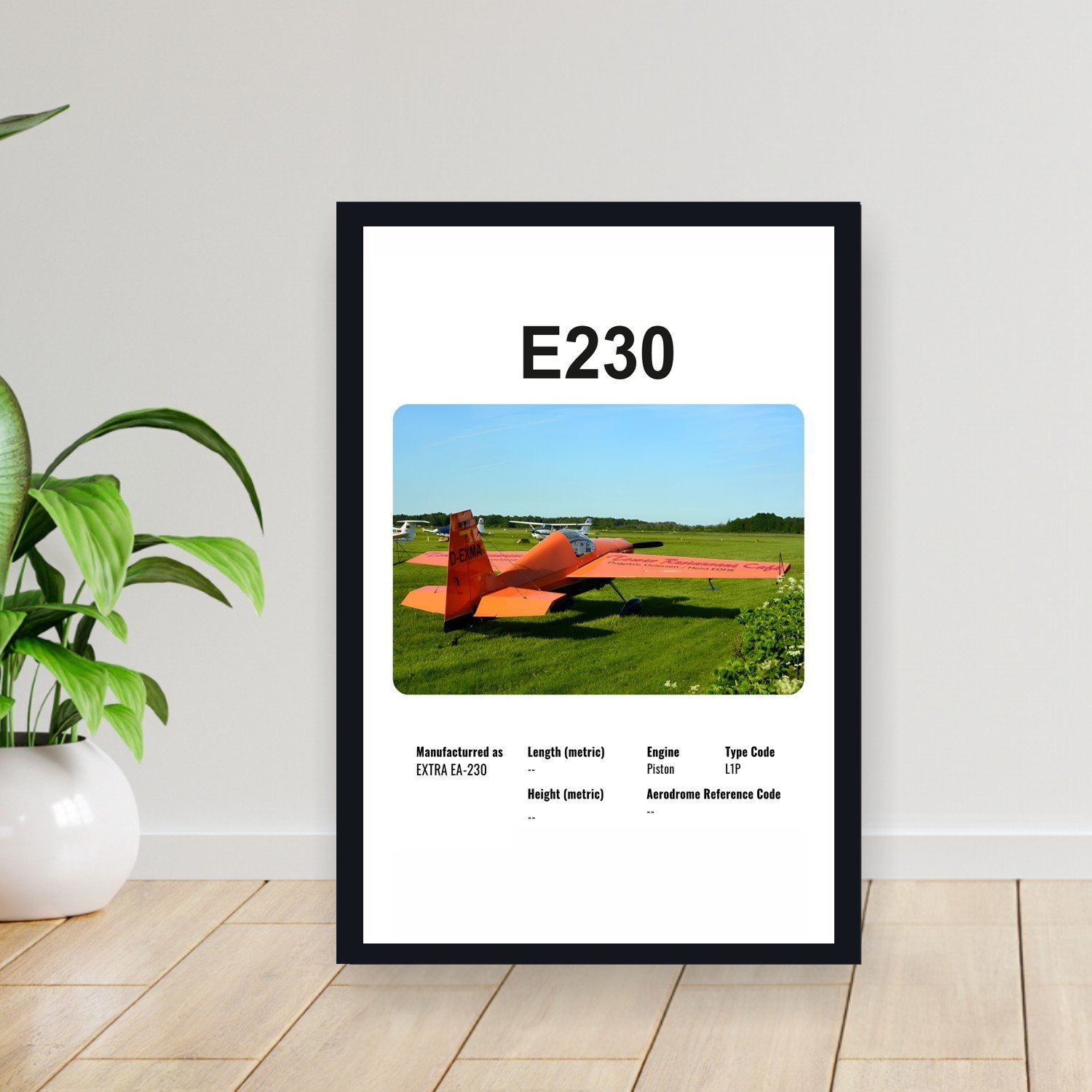 Cuadro 30x40cm Avion - EXTRA E230