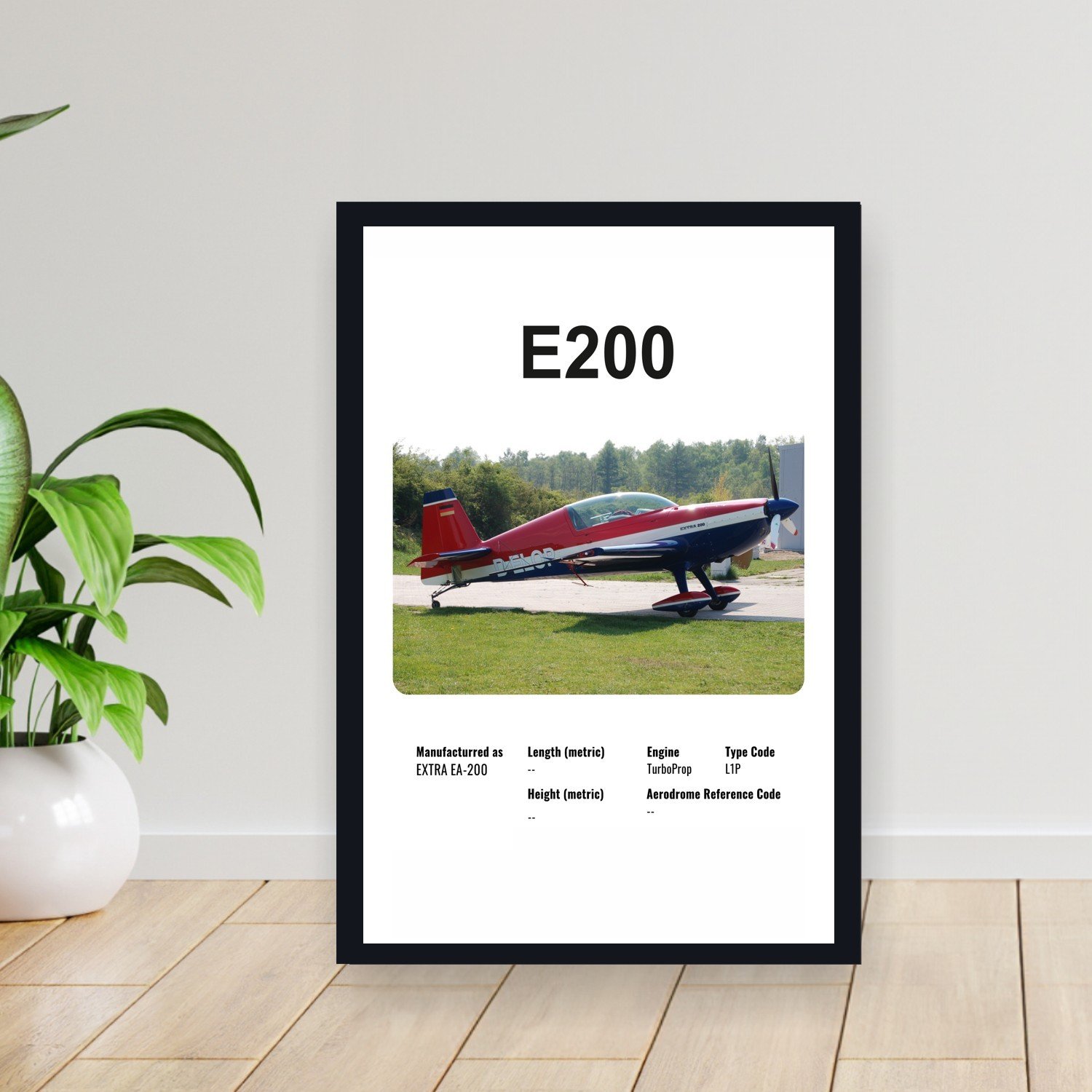 Cuadro 30x40cm Avion - EXTRA E200