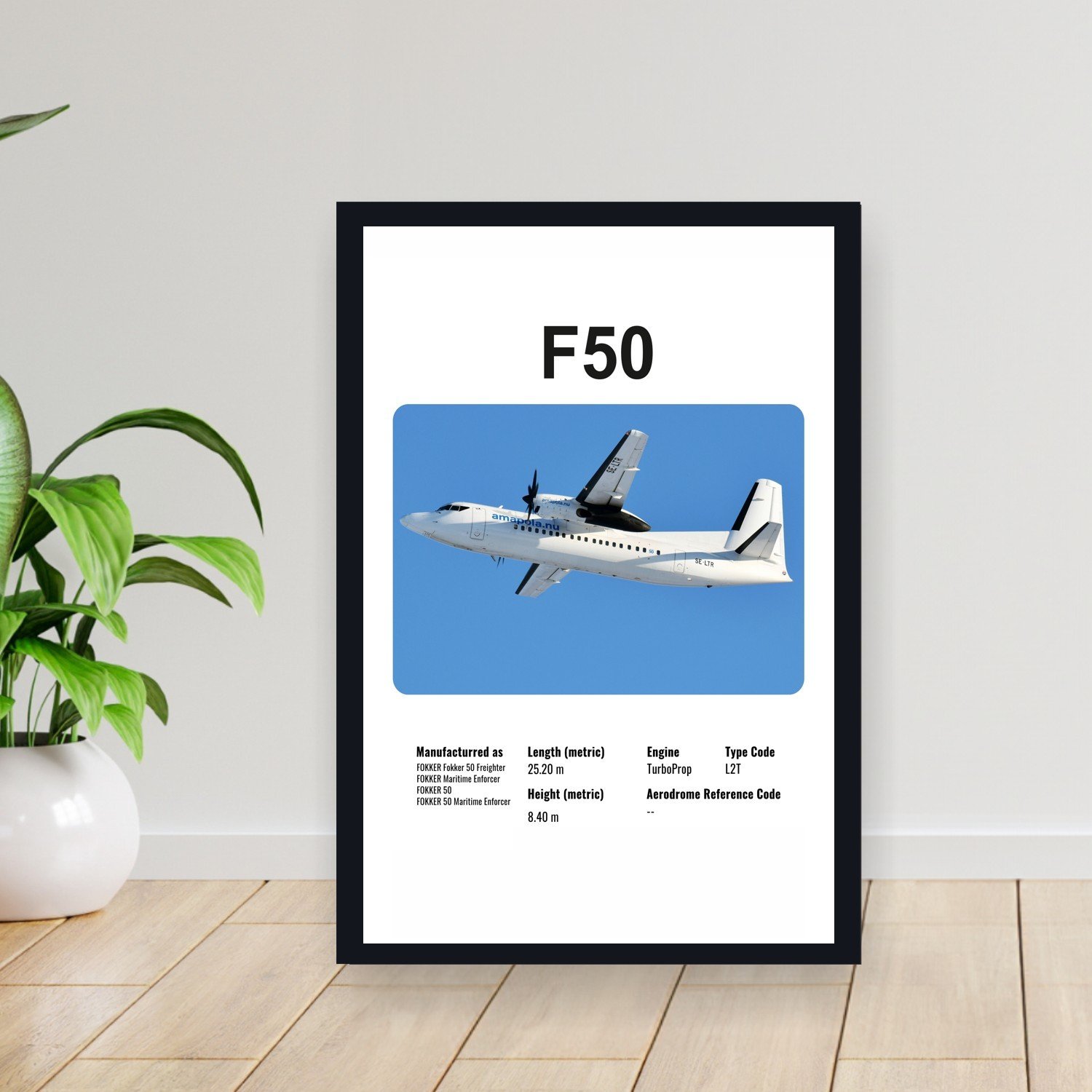 Cuadro 30x40cm Avion - FOKKER F50