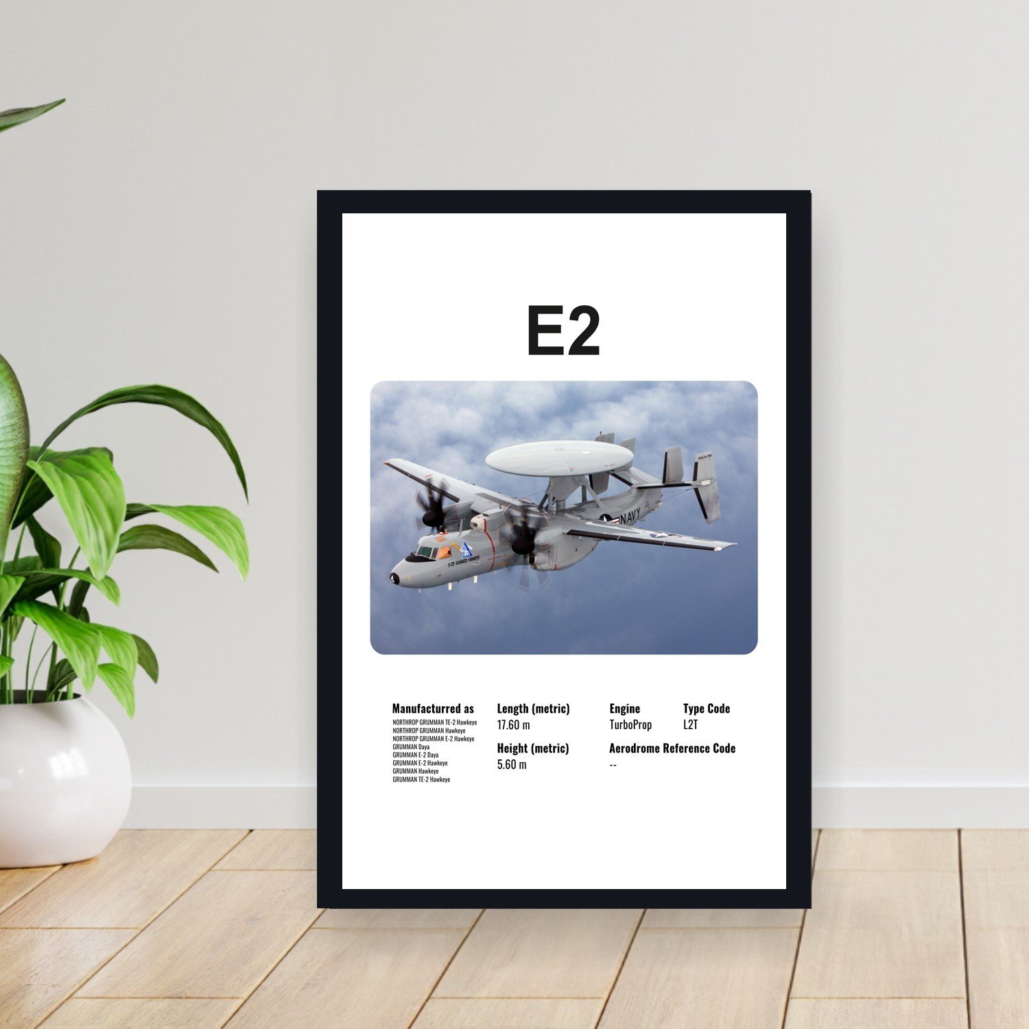 Cuadro 30x40cm Avion - GENERAL DYNAMICS E2