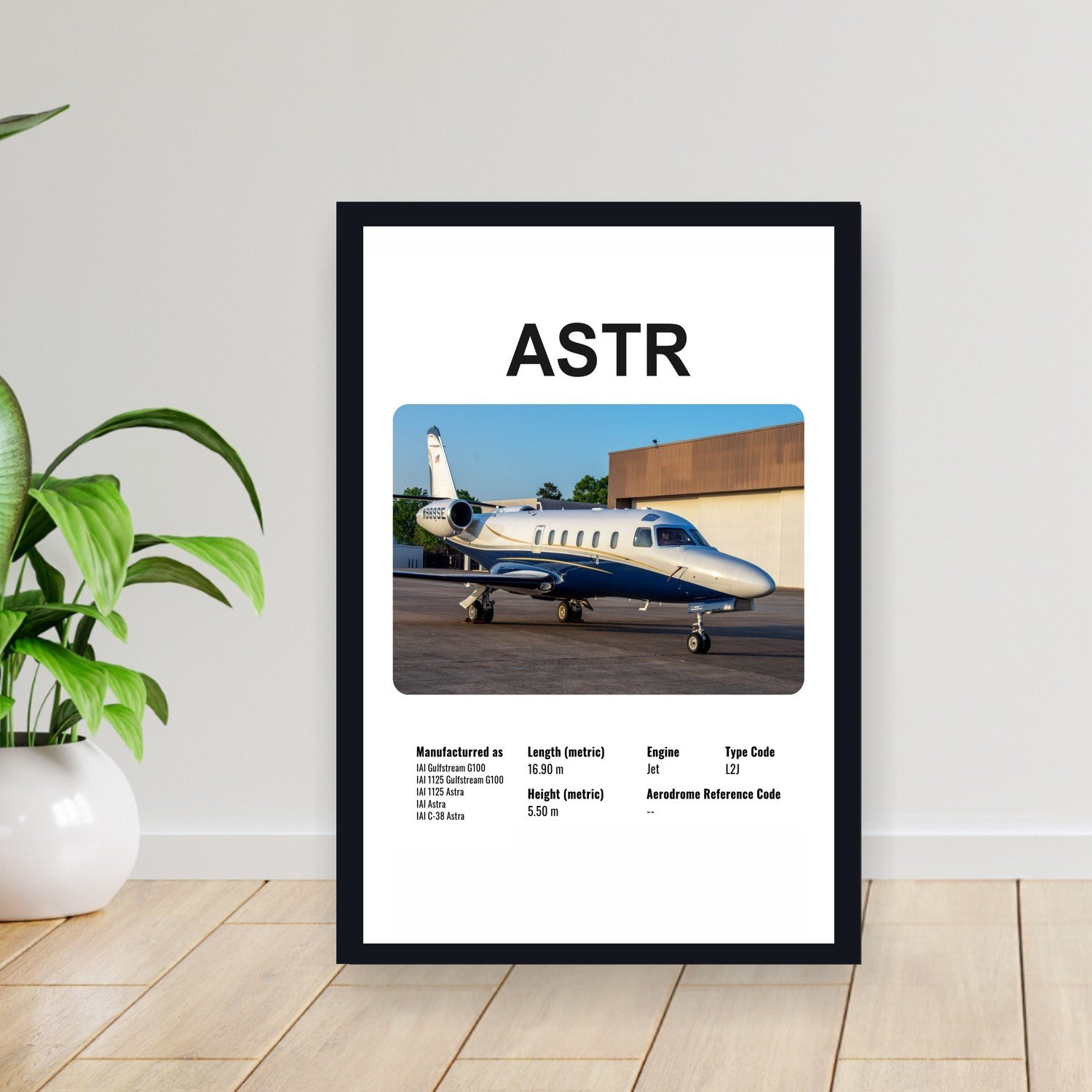 Cuadro 30x40cm Avion - iai ASTR