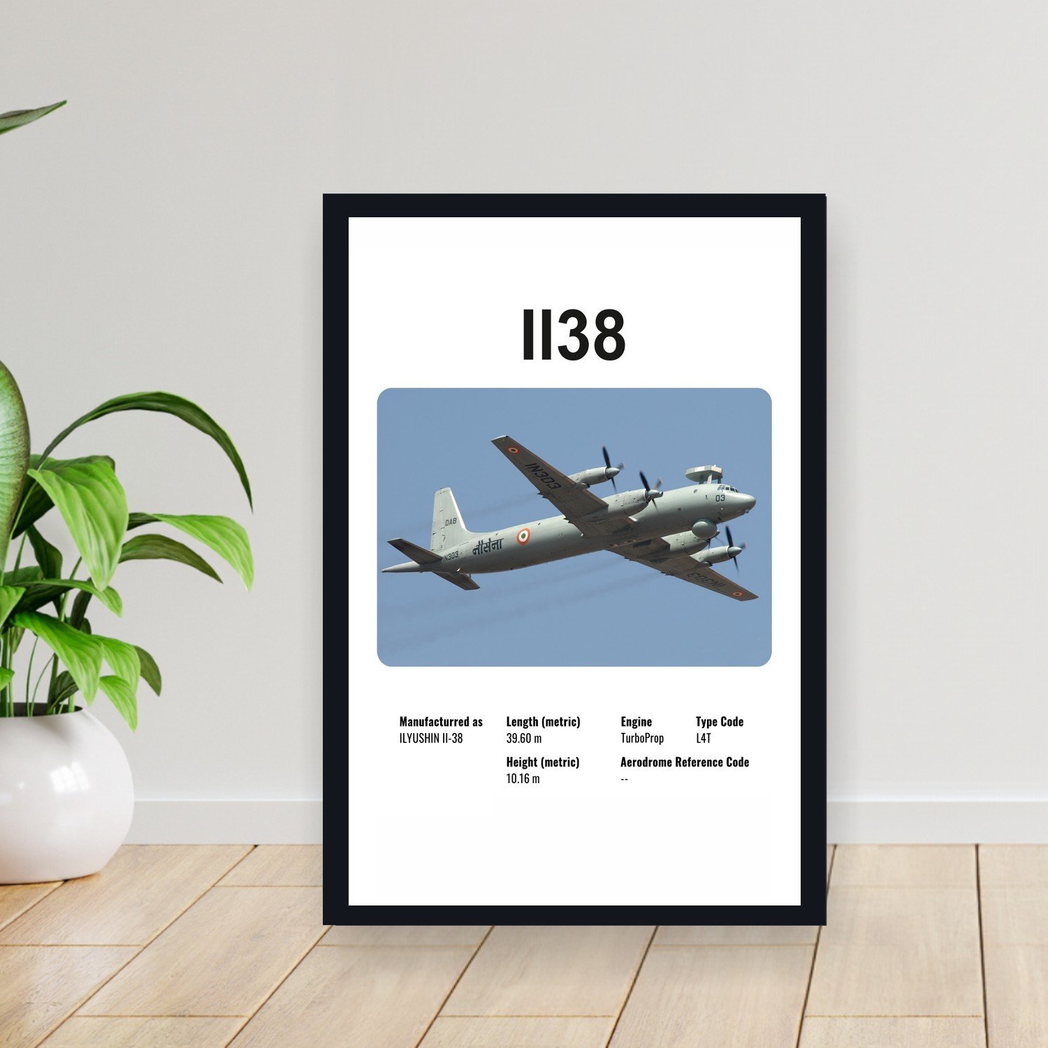 Cuadro 30x40cm Avion - ILYUSHIN IL38