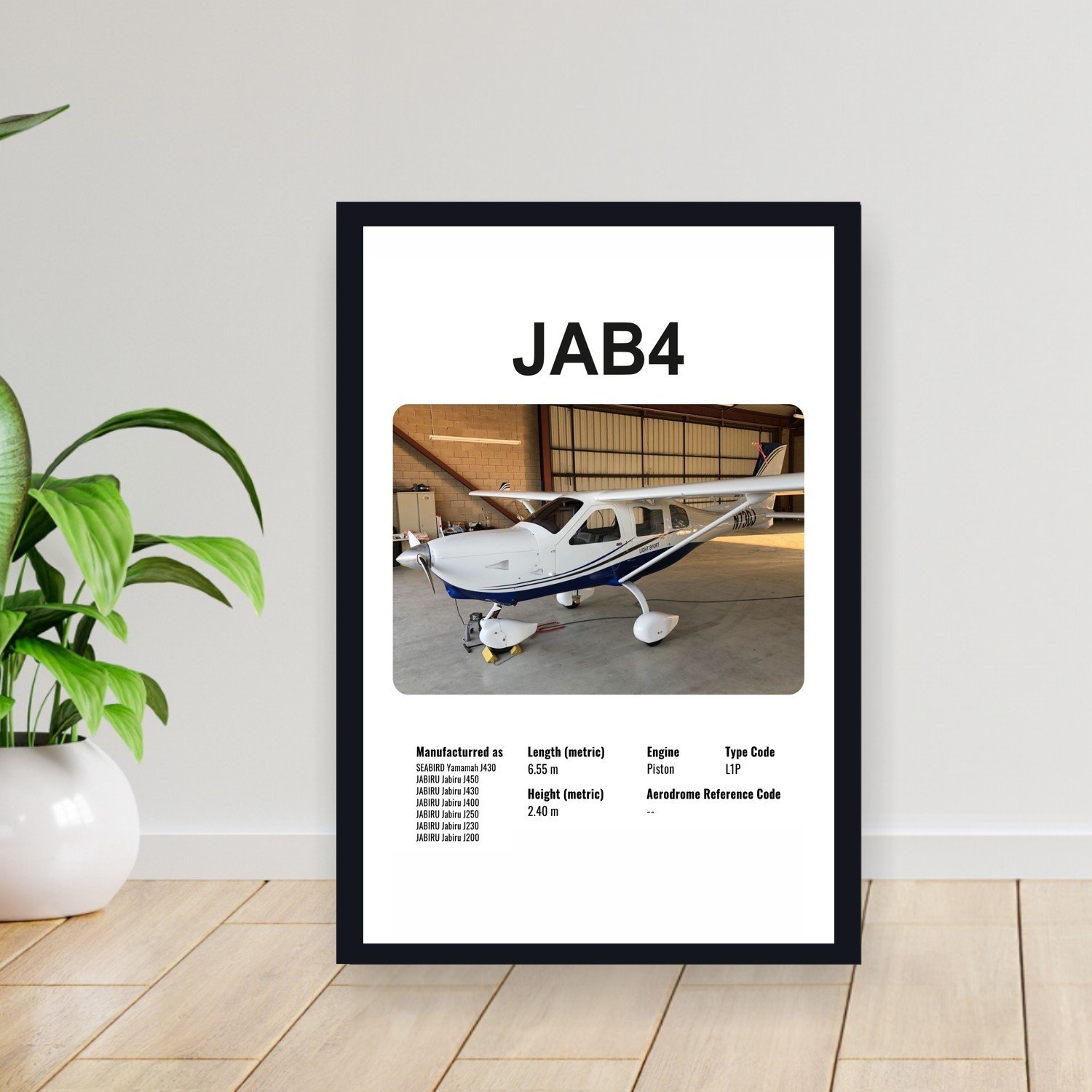 Cuadro 30x40cm Avion - JABIRU JAB4