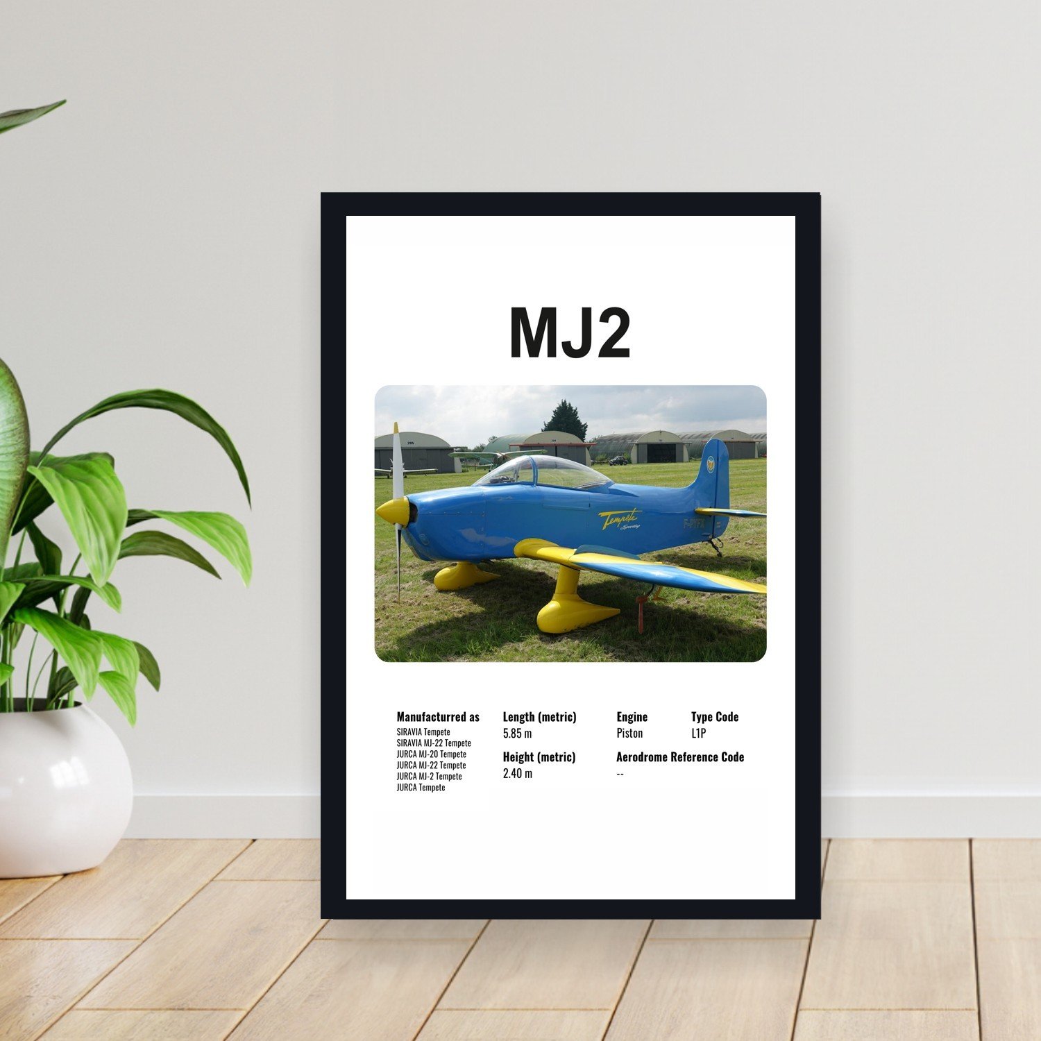 Cuadro 30x40cm Avion - JURCA MJ2