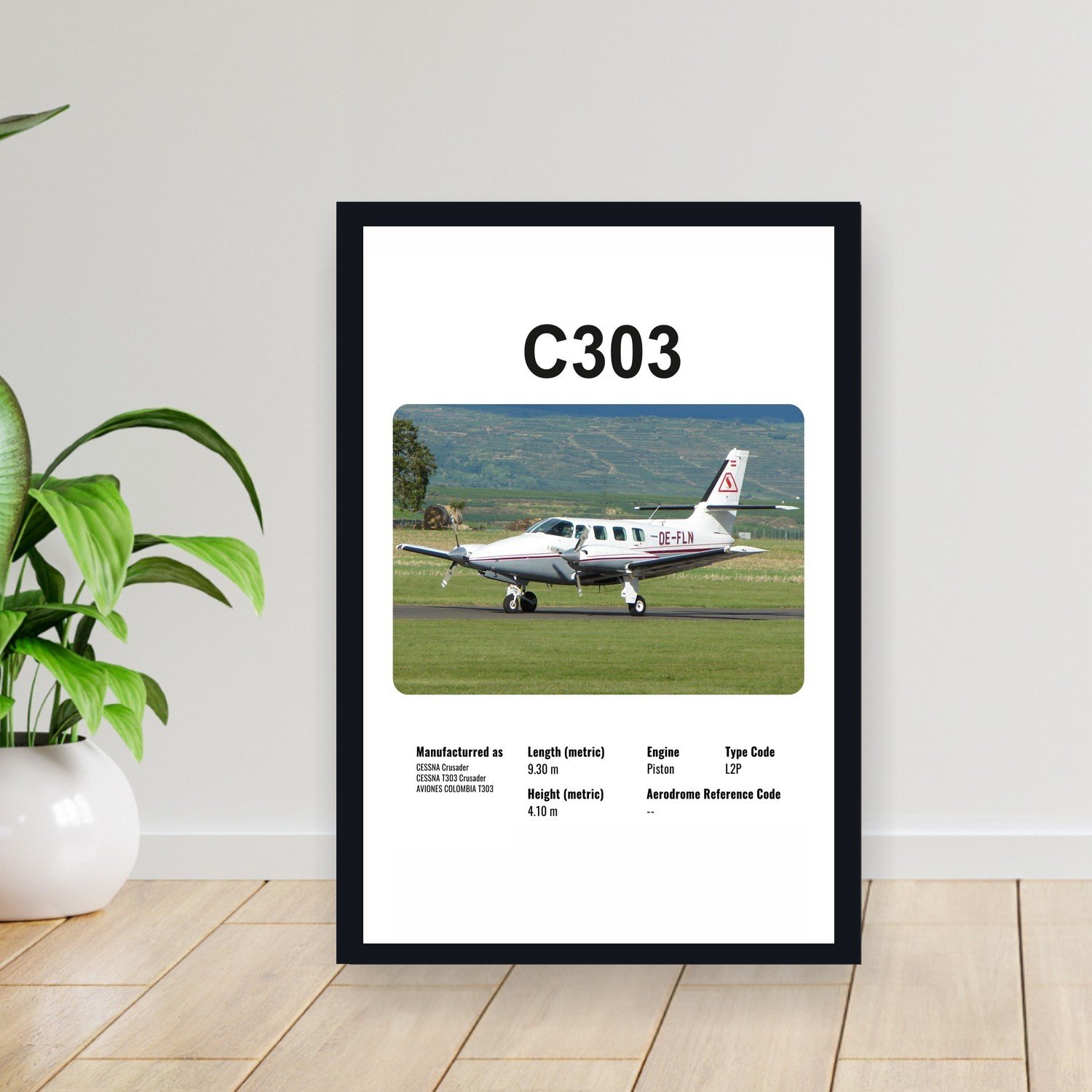 Cuadro 30x40cm Avion - CESSNA C303
