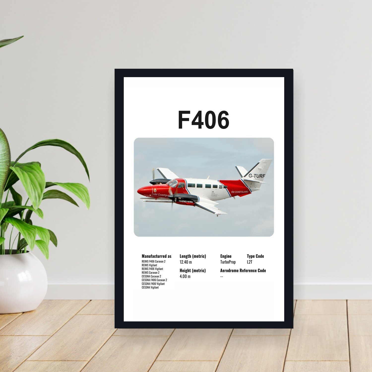 Cuadro 30x40cm Avion - CESSNA F406