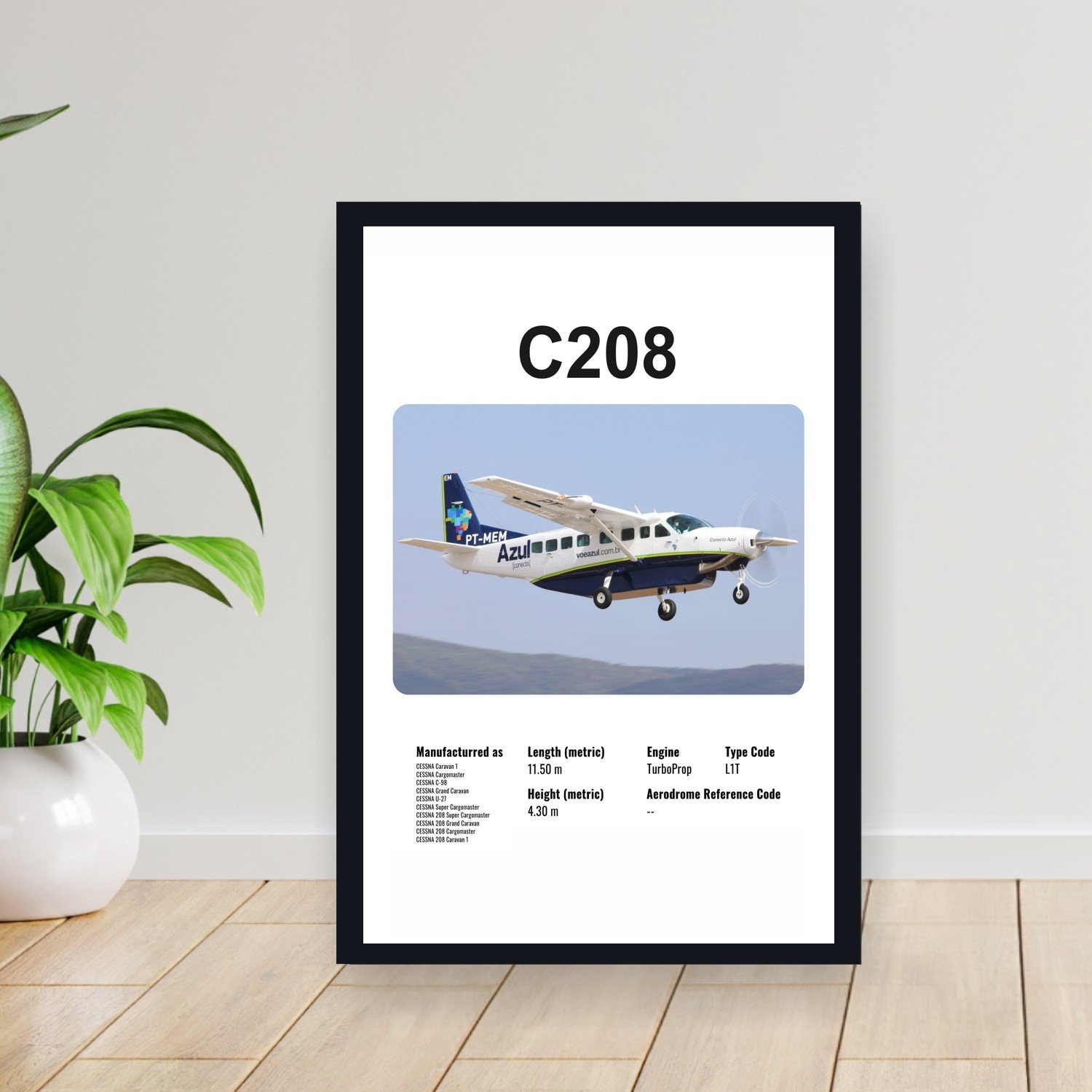 Cuadro 30x40cm Avion - CESSNA C208