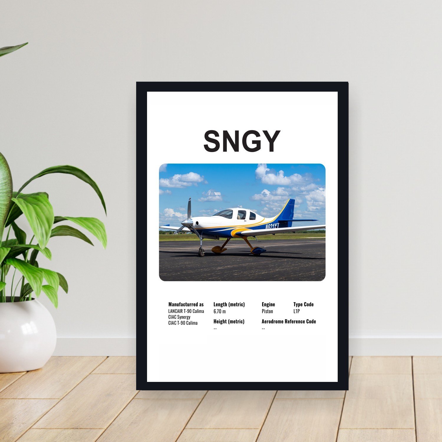 Cuadro 30x40cm Avion - LANCAIR SNGY