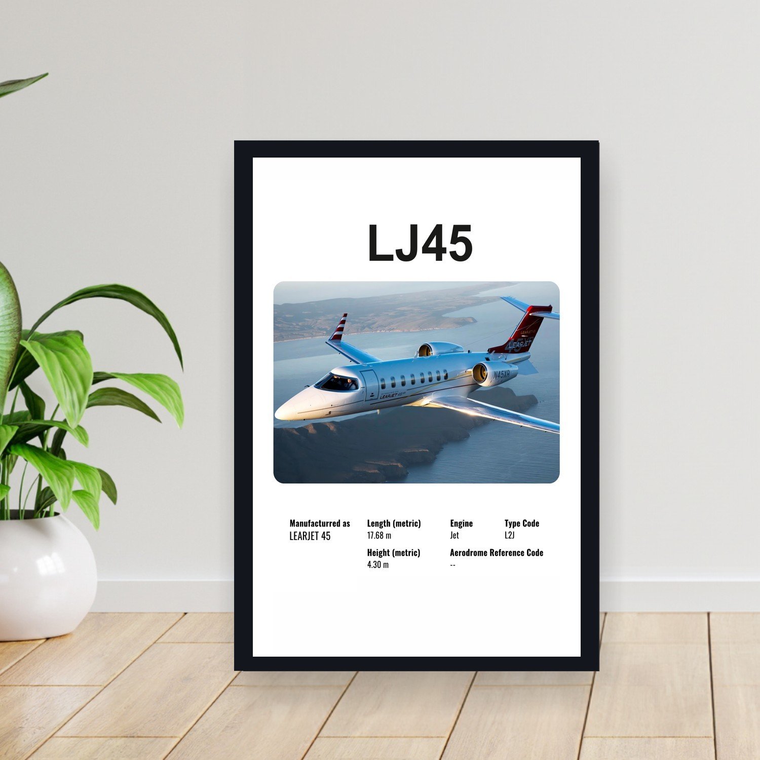 Cuadro 30x40cm Avion - LEARJET LJ45