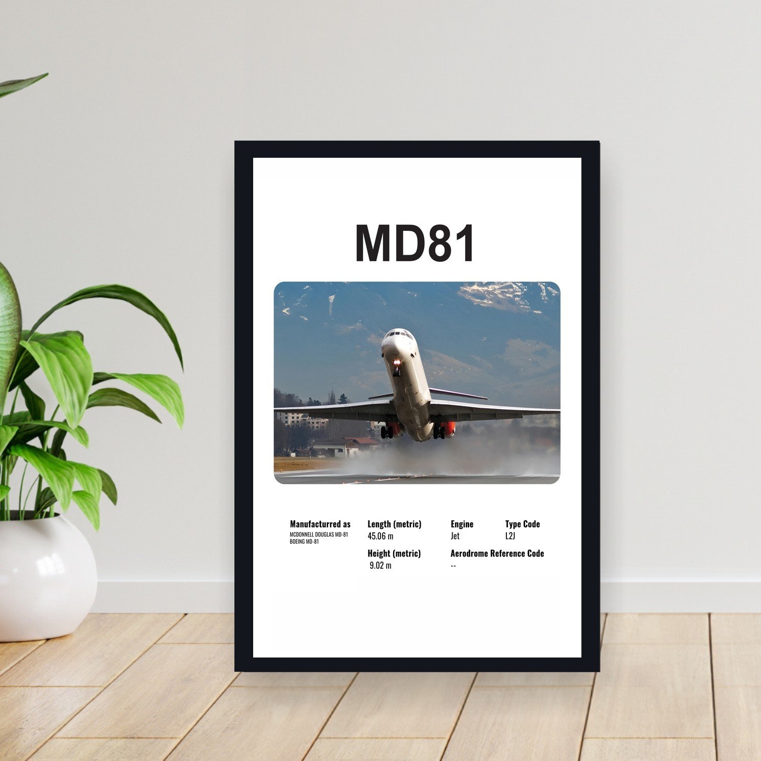 Cuadro 30x40cm Avion - MCDONNELL MD81