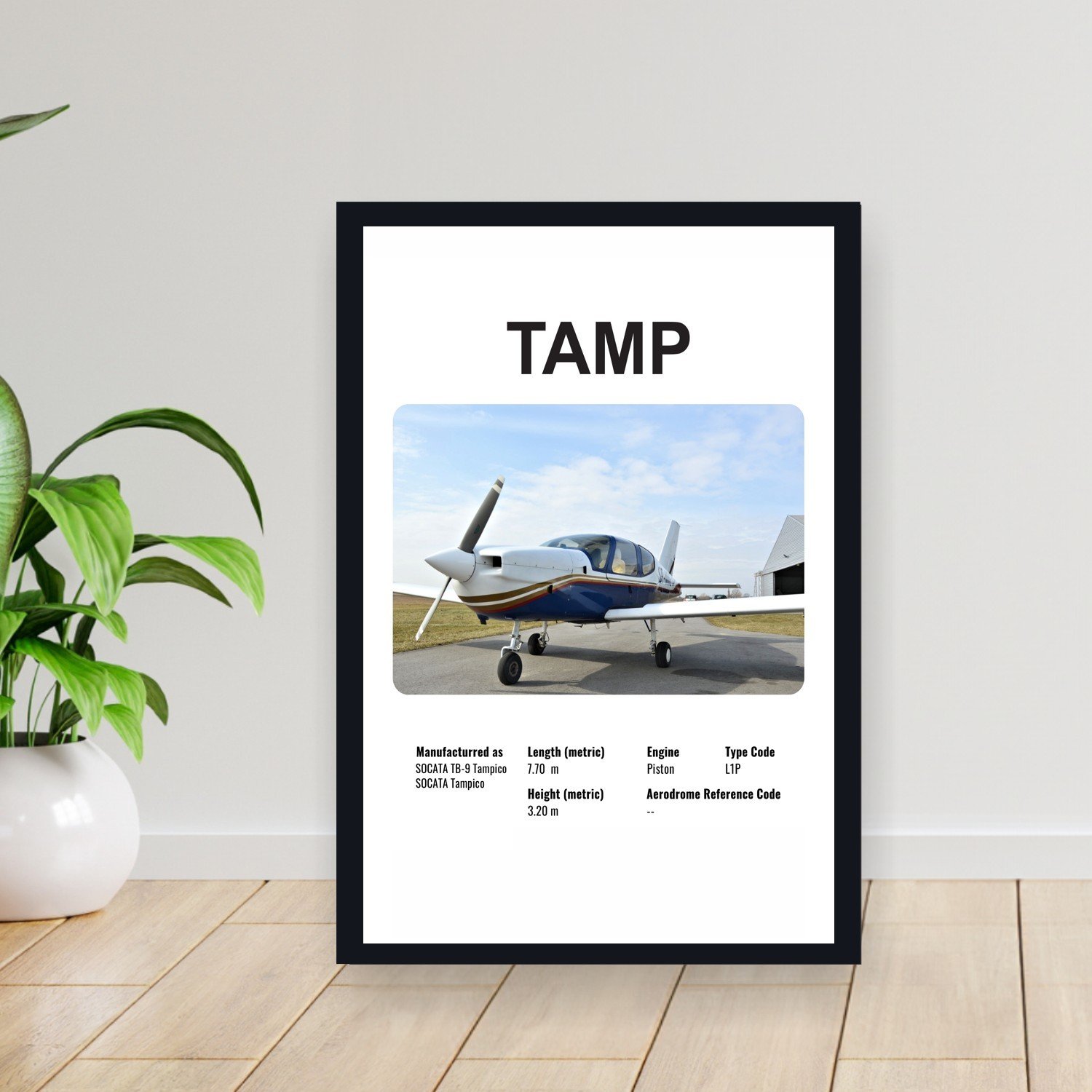Cuadro 30x40cm Avion - SOCATA TAMP