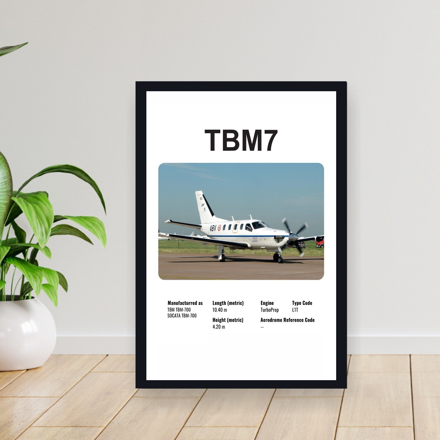 Cuadro 30x40cm Avion - SOCATA TBM7