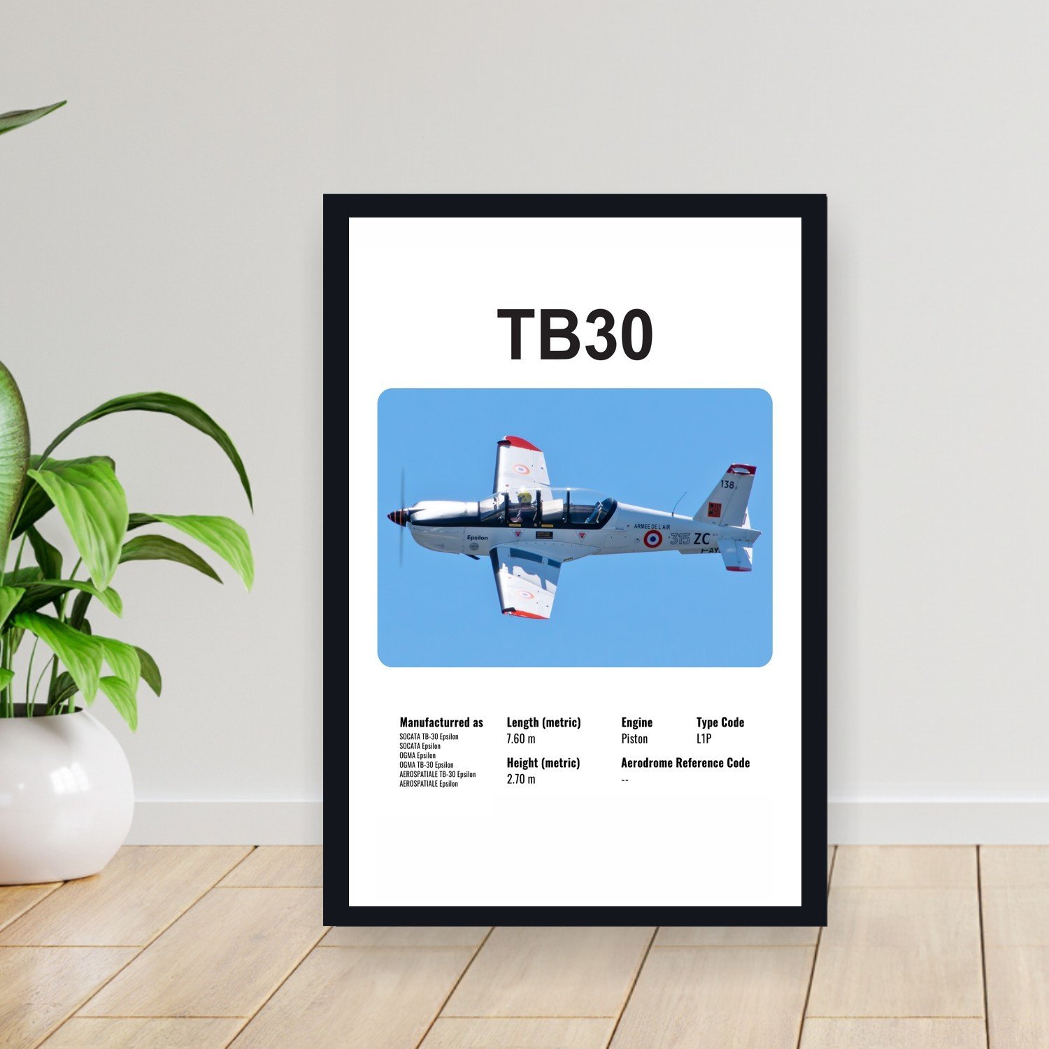 Cuadro 30x40cm Avion - SOCATA TB30