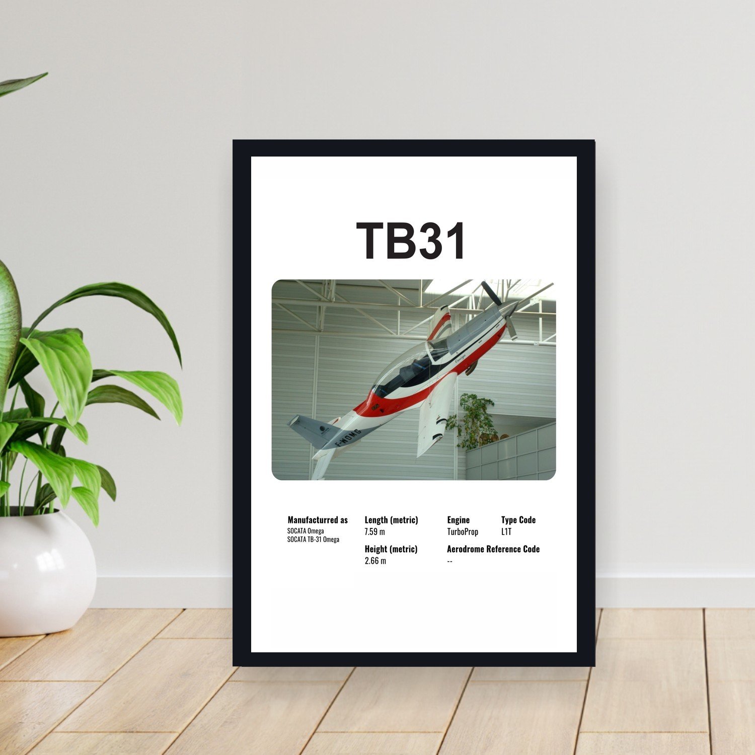 Cuadro 30x40cm Avion - SOCATA TB31