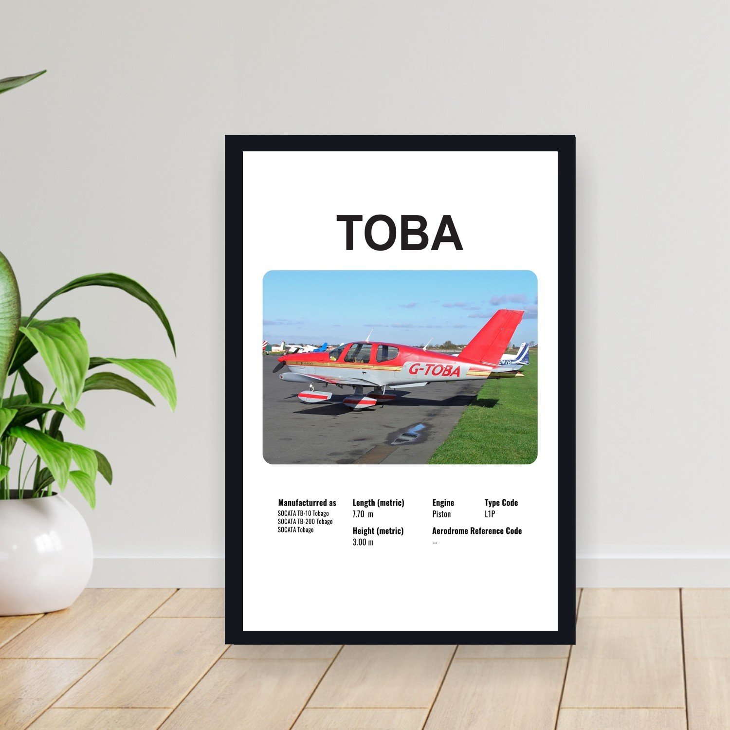 Cuadro 30x40cm Avion - SOCATA TOBA
