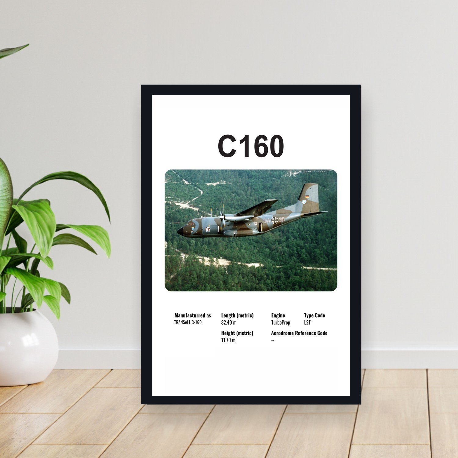 Cuadro 30x40cm Avion - TRANSALL C160