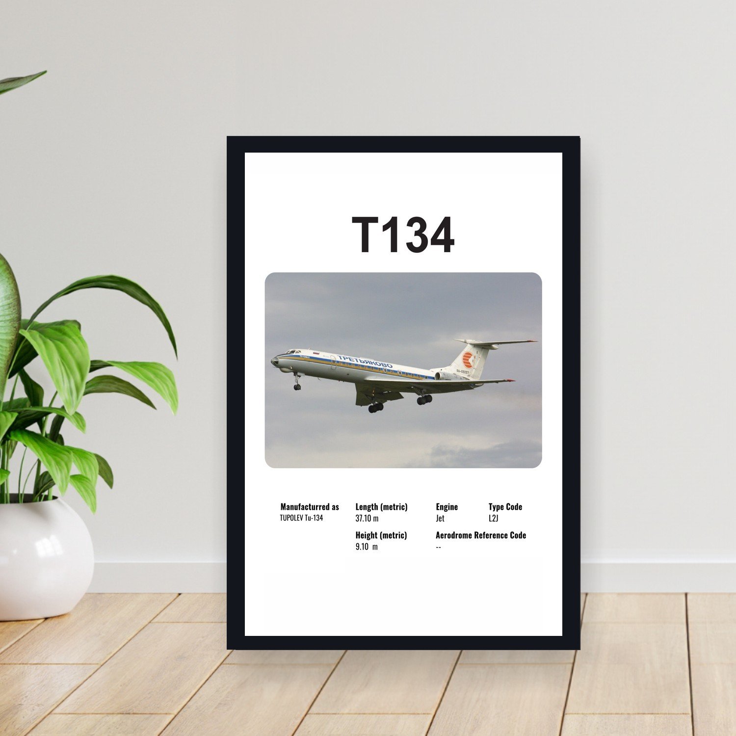 Cuadro 30x40cm Avion - TUPOLEV T134