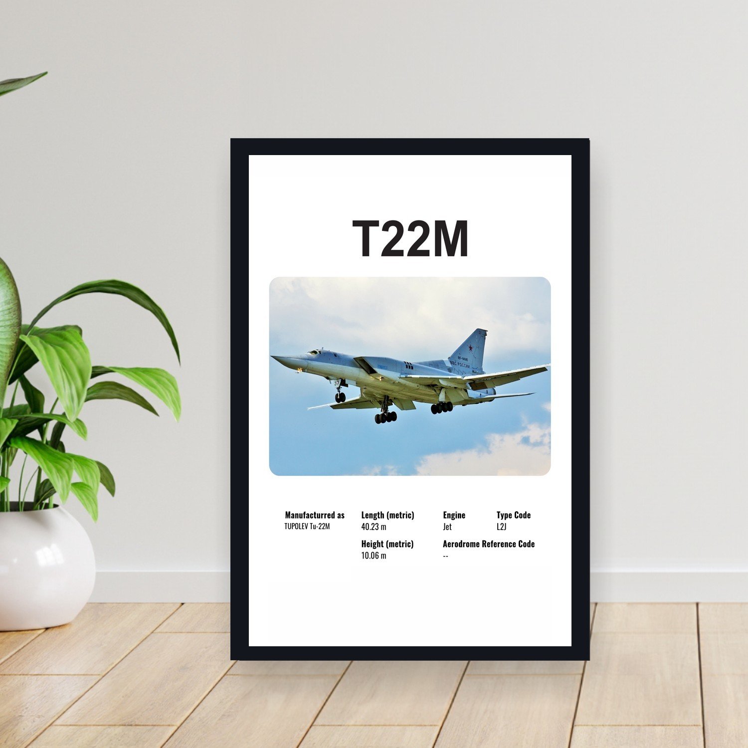 Cuadro 30x40cm Avion - TUPOLEV T22M