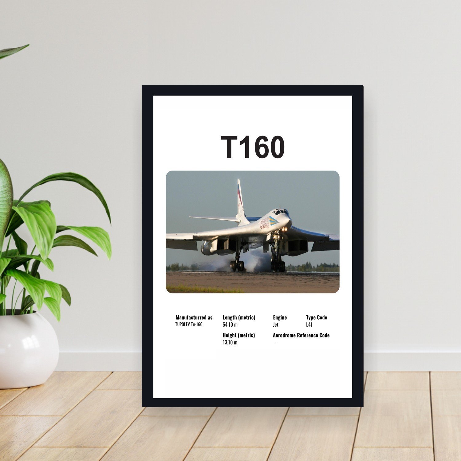 Cuadro 30x40cm Avion - TUPOLEV T160