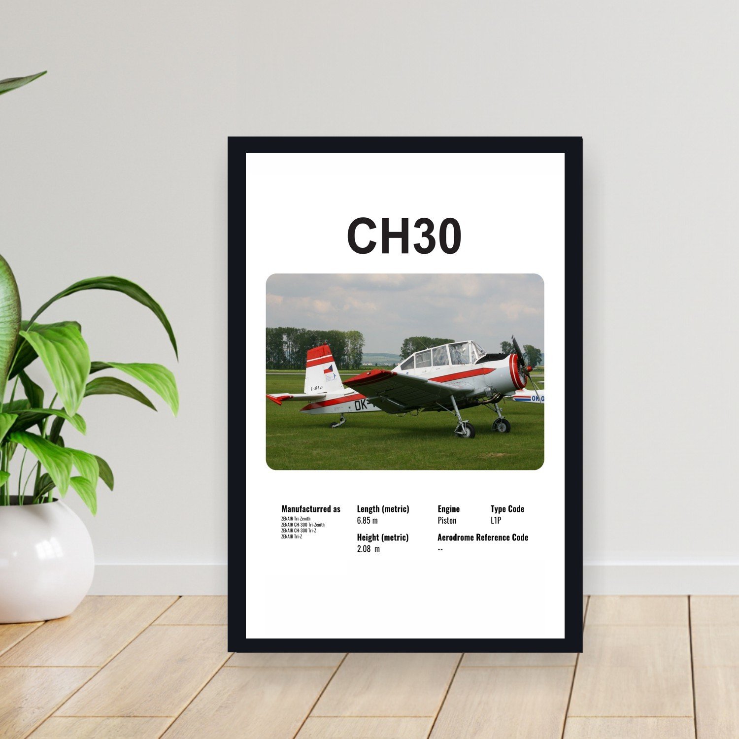 Cuadro 30x40cm Avion - ZENAIR CH30
