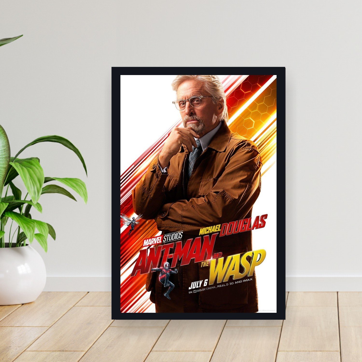 Cuadro 30x40cm Pelicula - antman and the wasp 007