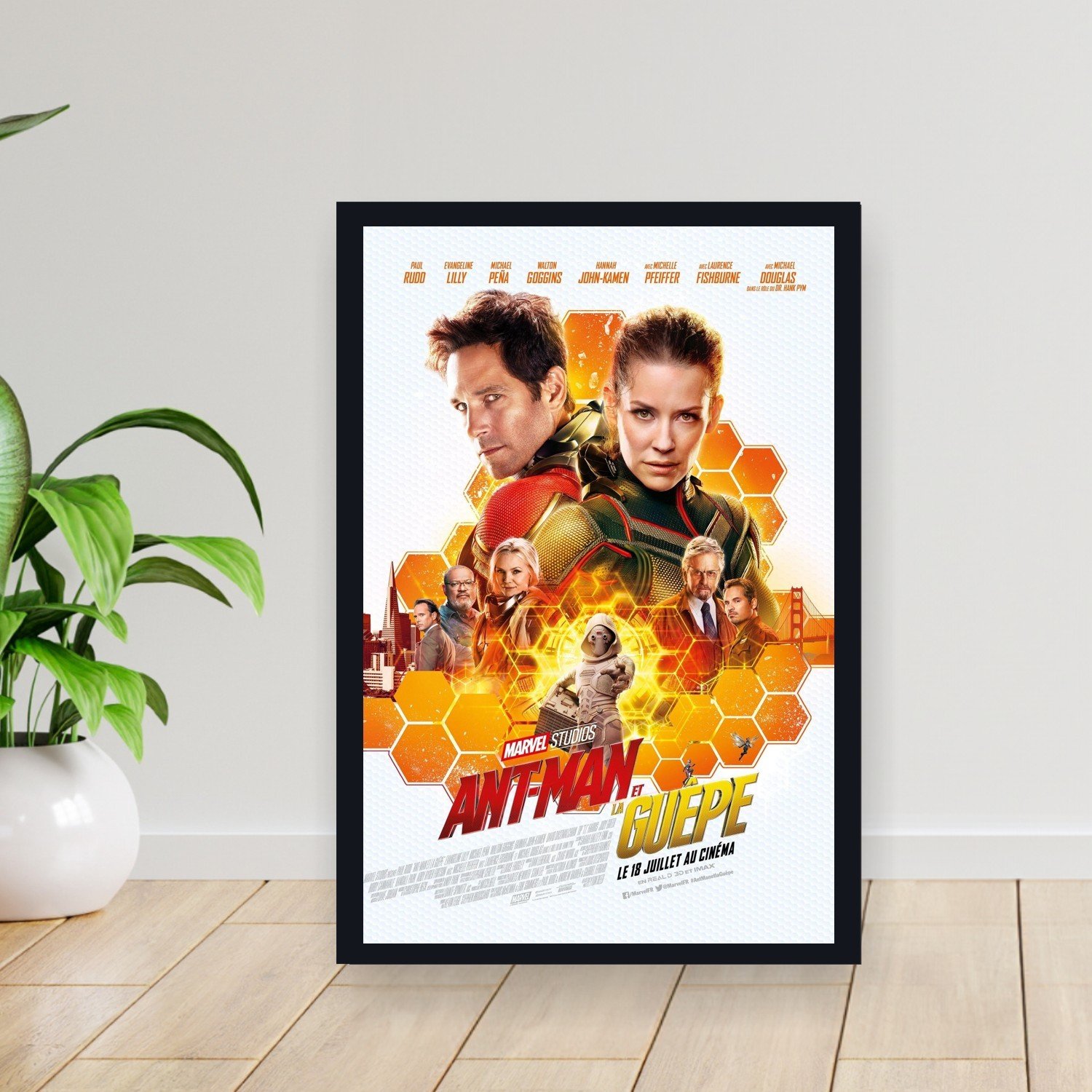Cuadro 30x40cm Pelicula - antman and the wasp 011