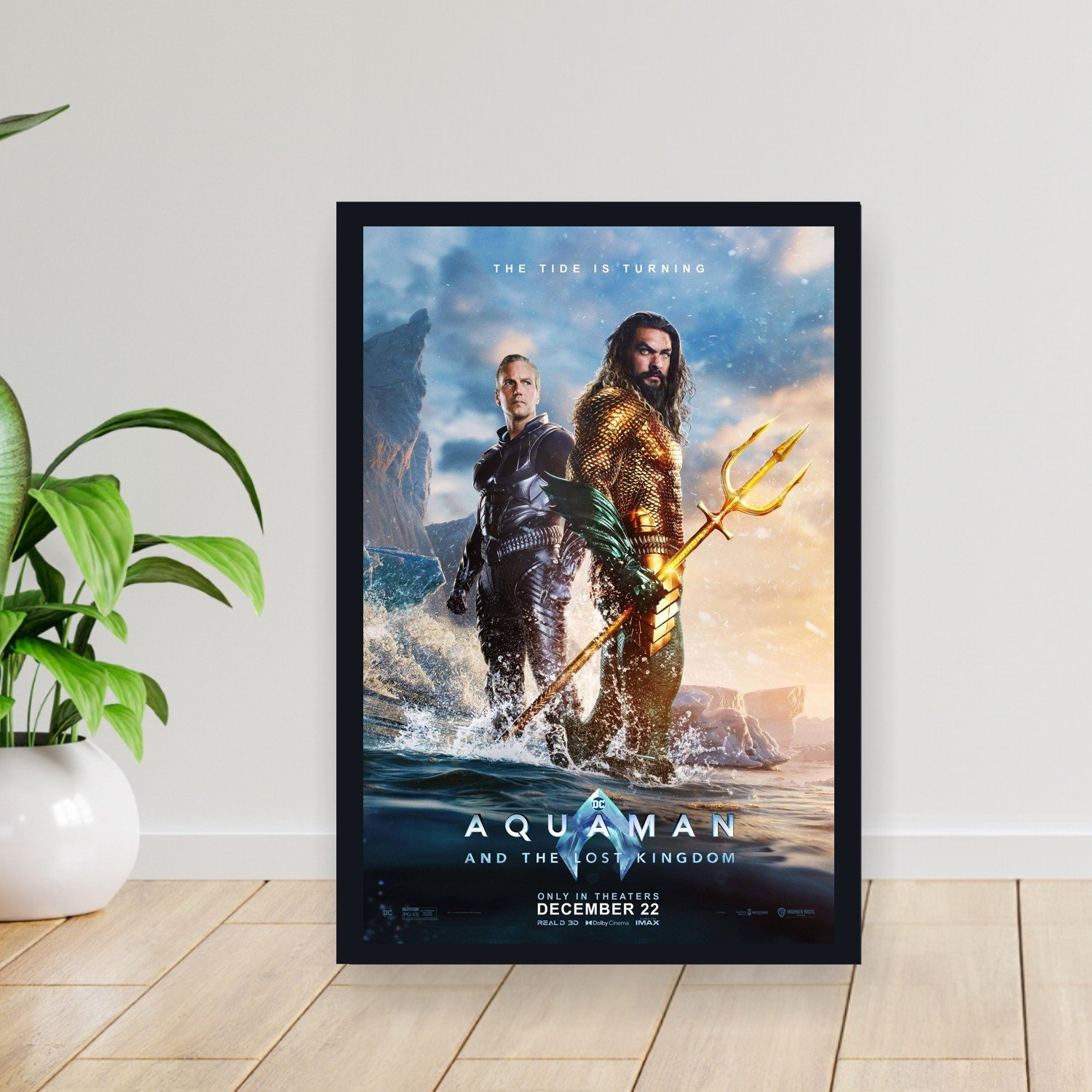 Cuadro 30x40cm Pelicula - aquaman and the lost kingdom 003