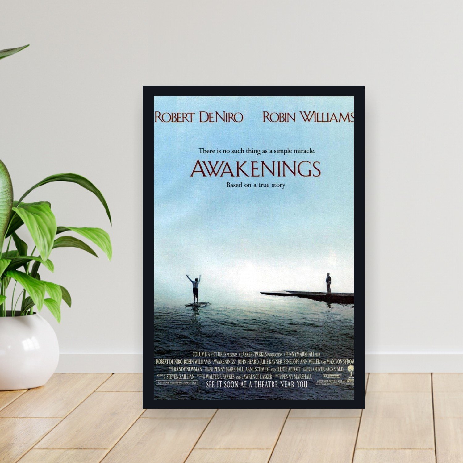 Cuadro 30x40cm Pelicula - awakenings