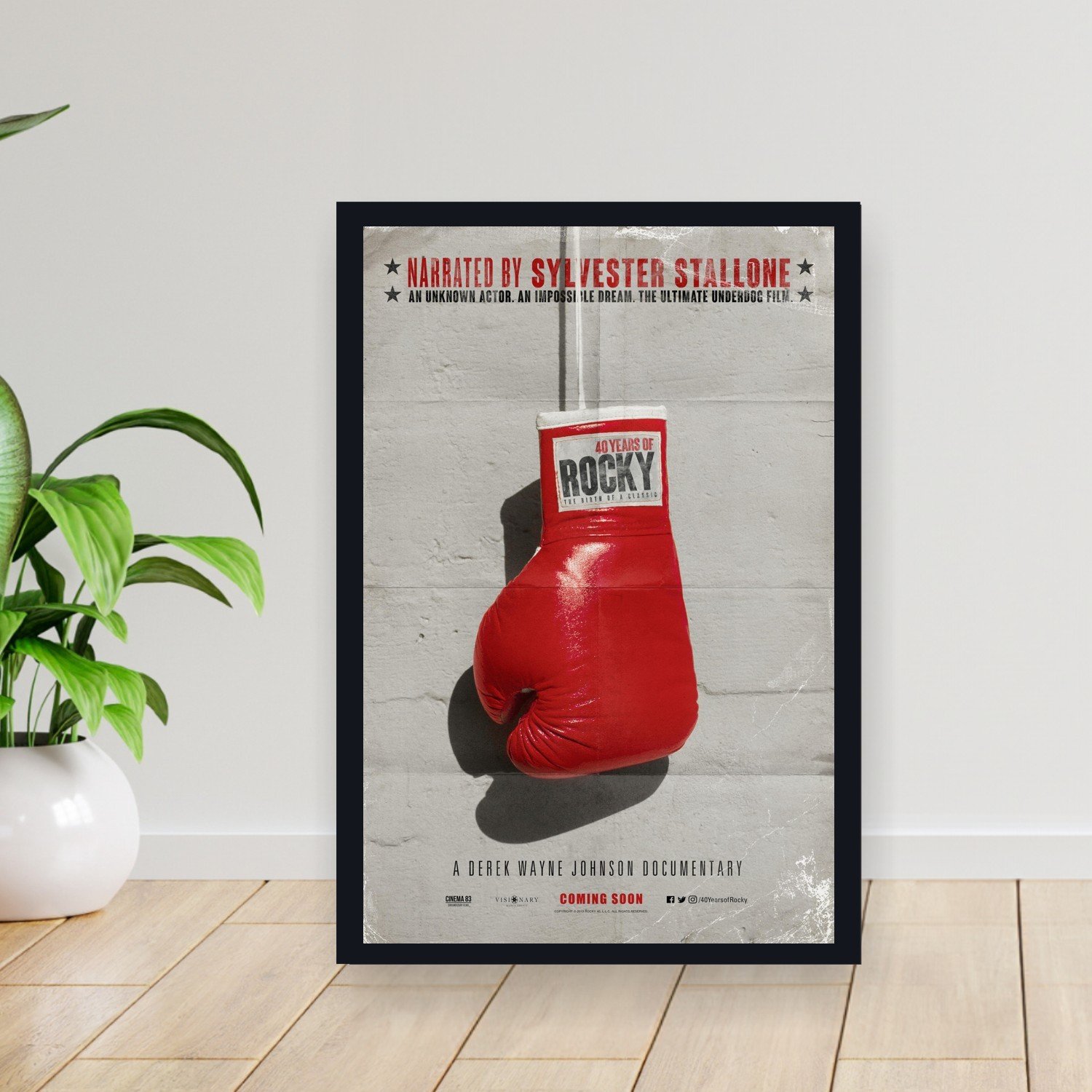 Cuadro 30x40cm Pelicula - forty years of rocky the birth