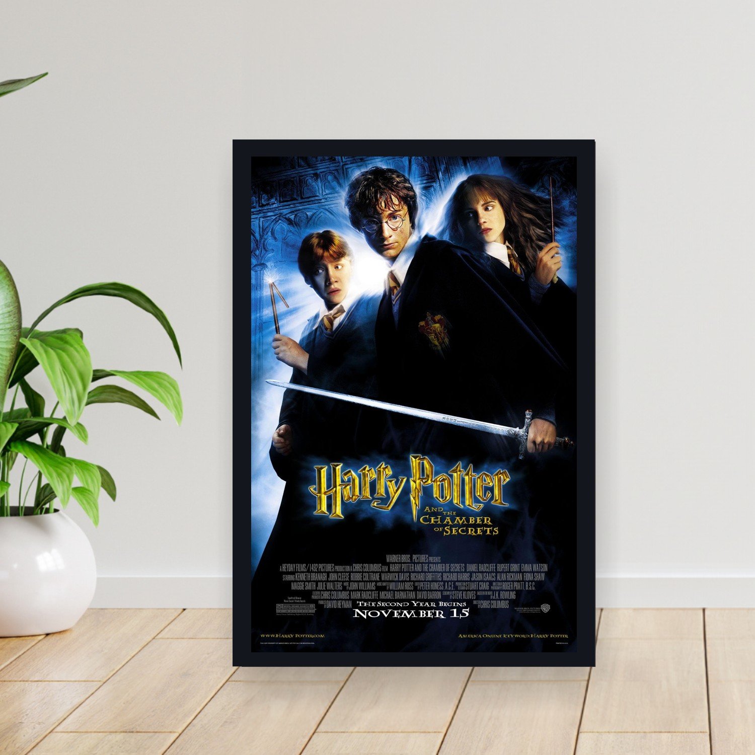 Cuadro 30x40cm Pelicula - harry potter and the chamber of s 003
