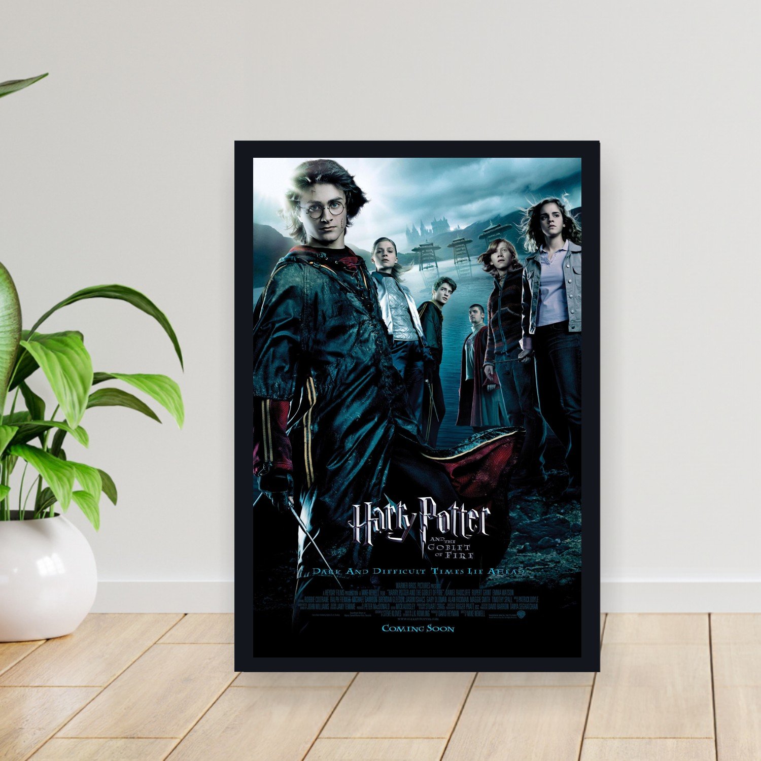 Cuadro 30x40cm Pelicula - harry potter and the goblet fire 007