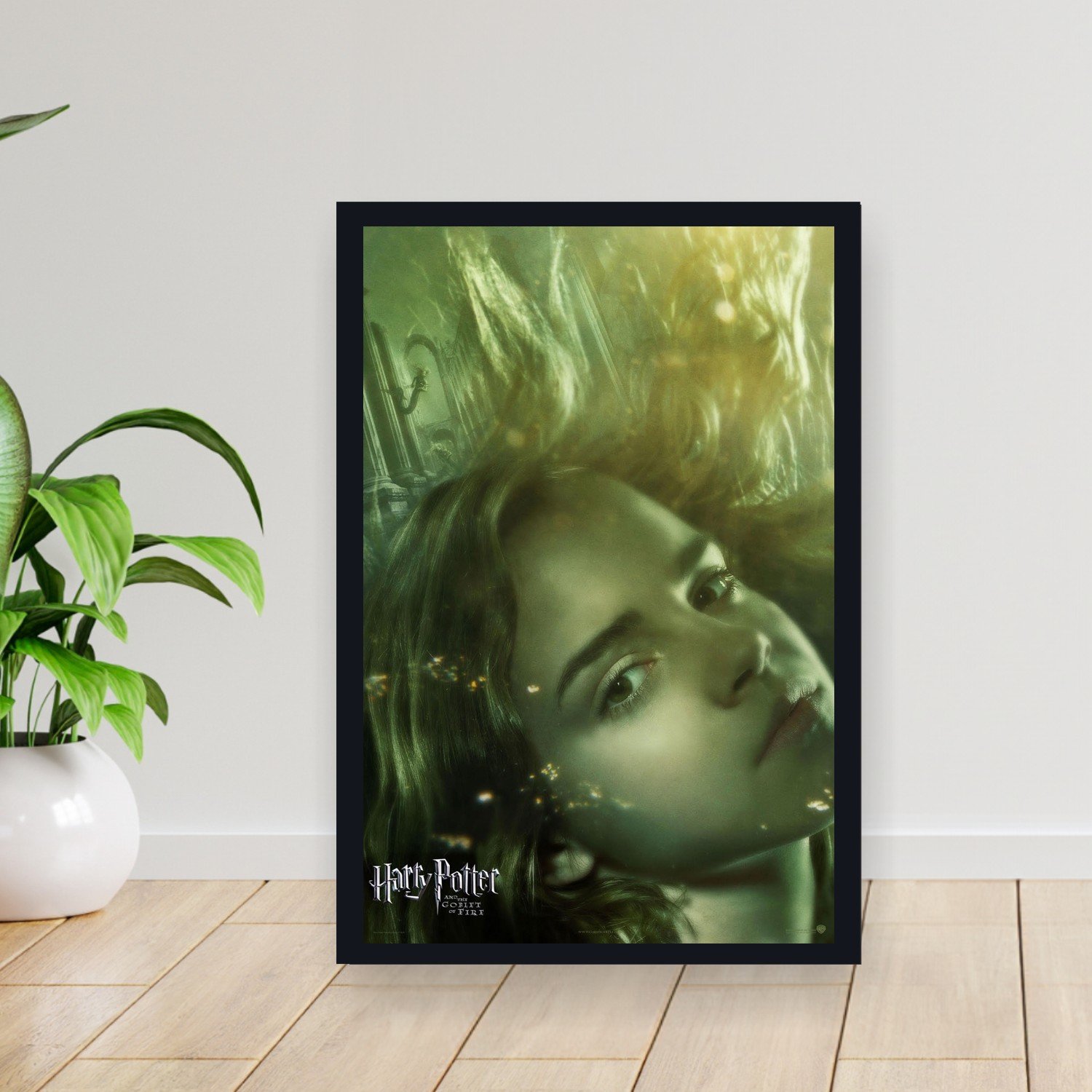 Cuadro 30x40cm Pelicula - harry potter and the goblet fire 018