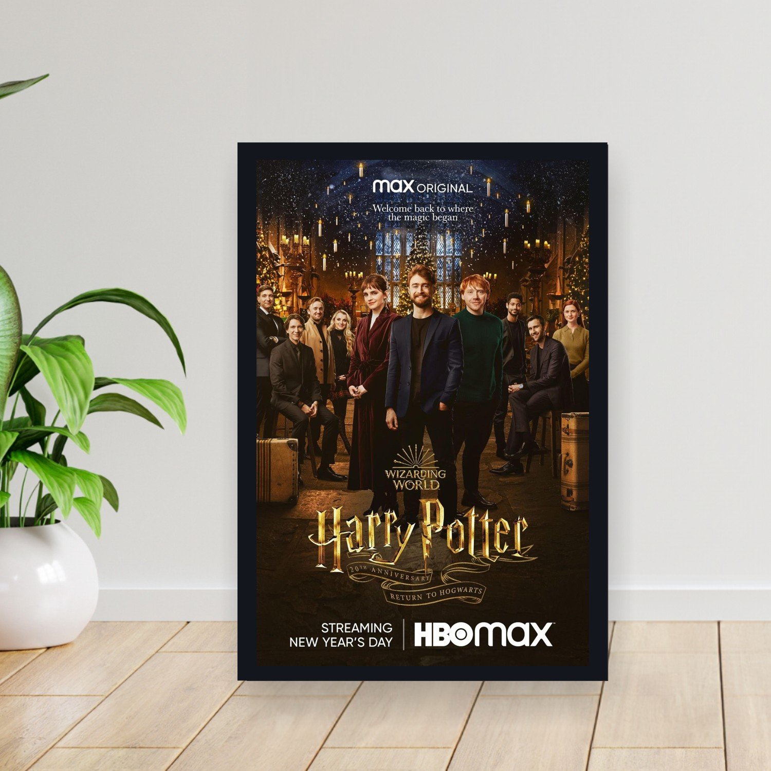 Cuadro 30x40cm Pelicula - harry potter twentieth anniversary002