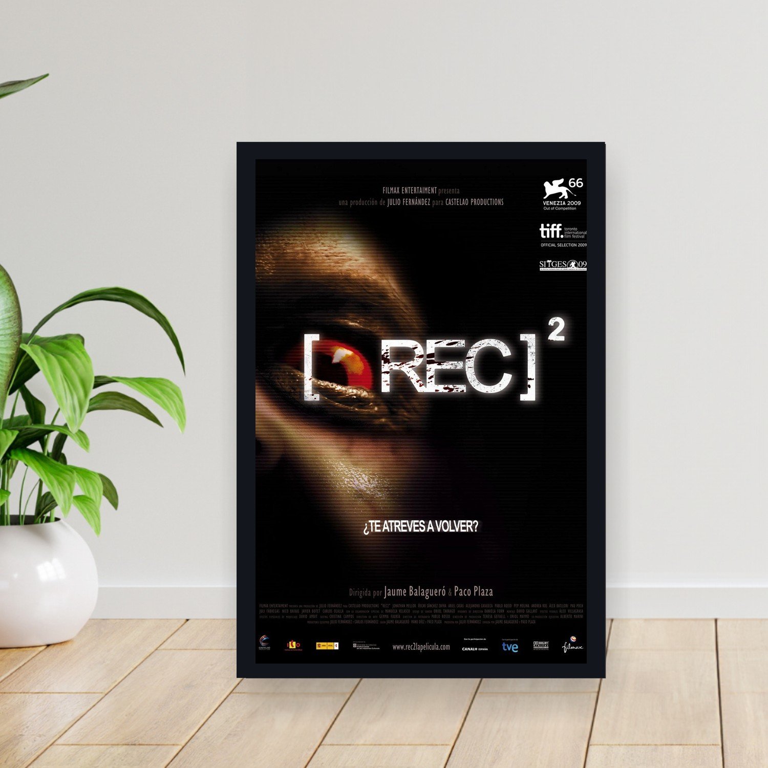 Cuadro 30x40cm Pelicula - rec 2 002