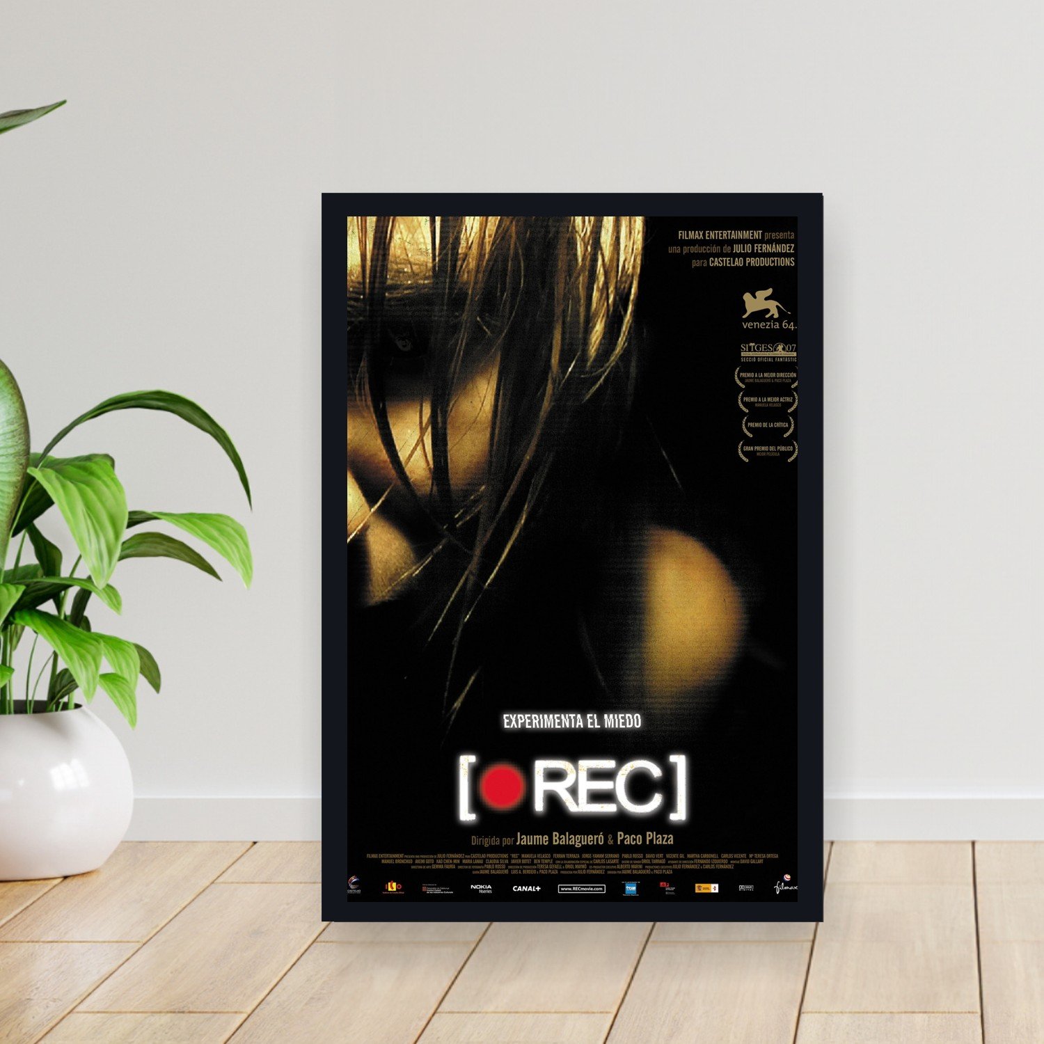 Cuadro 30x40cm Pelicula - rec