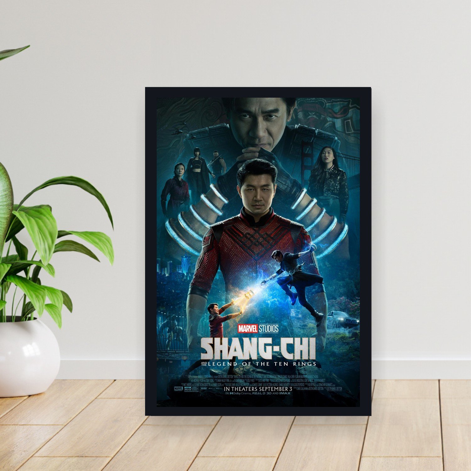 Cuadro 30x40cm Peli - shangchi and the legend of the 10 rin 002